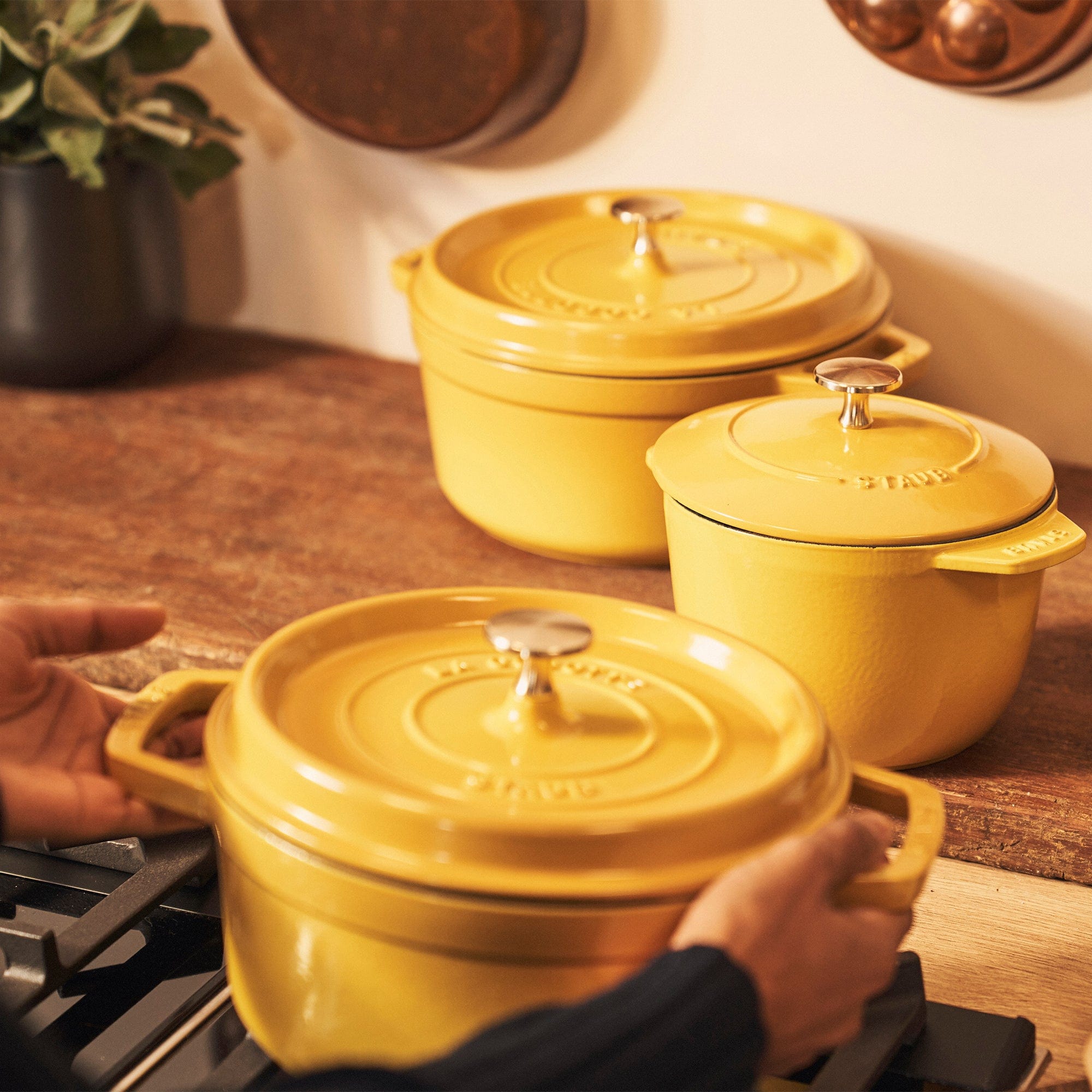 Staub Cast Iron 7-qt Round Cocotte, Dutch Oven - Citron
