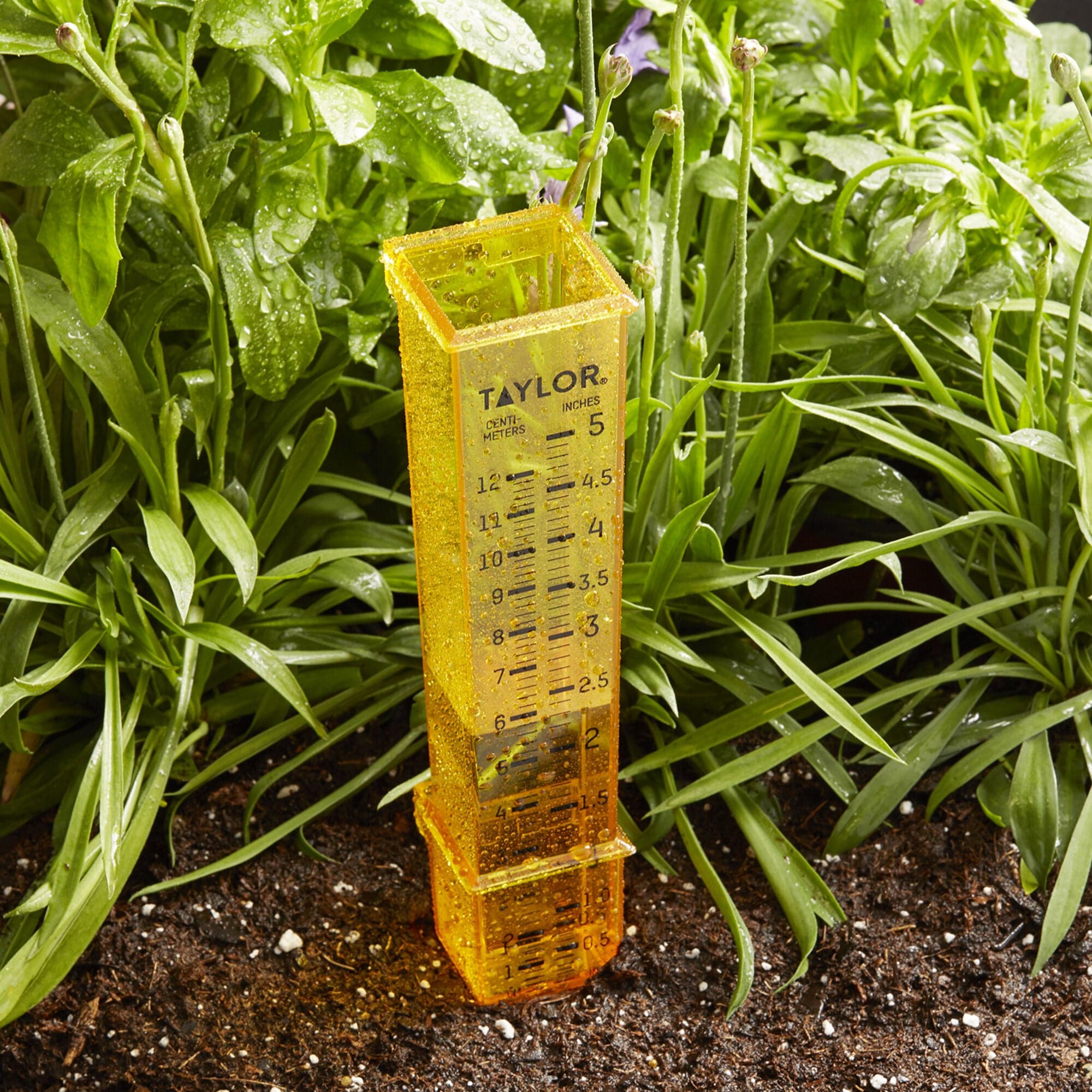Taylor 2-in-1 Rain/Sprinkler Gauge, Yellow