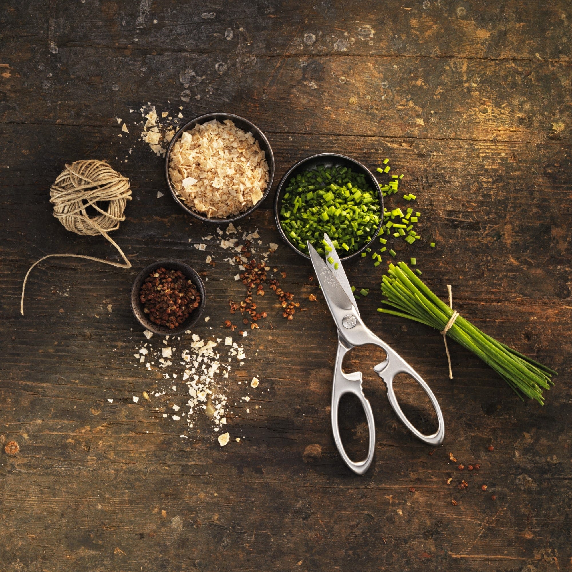 Zwilling Twin Select Stainless Steel Kitchen Shears