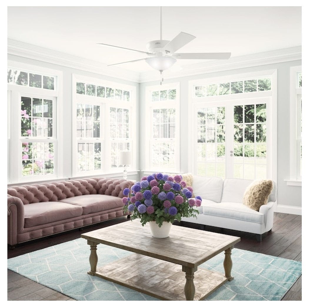 Hunter Fans 60" Regalia II SureSpeed Whisper Quiet Ceiling Fan with LED Light, Fresh White