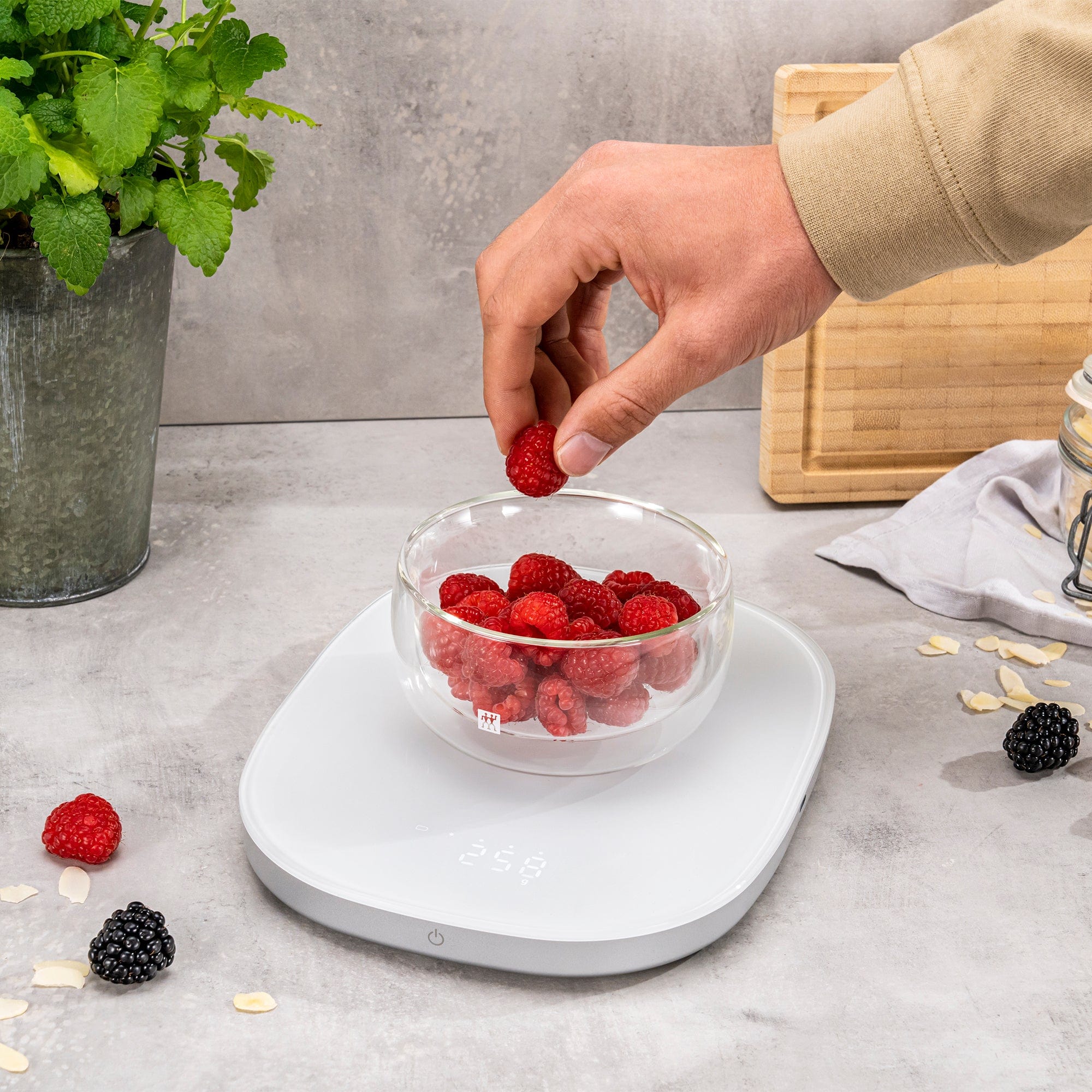 Zwilling Enfinigy Wireless 2-in-1 Charging Kitchen Scale, White