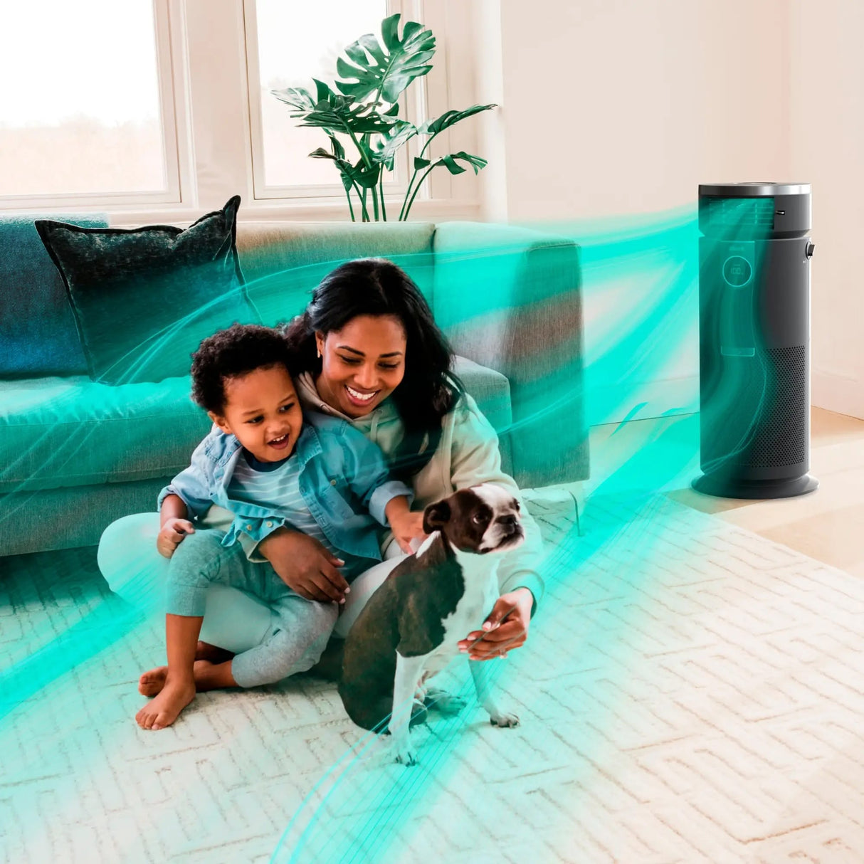 Shark Heater & Fan with NanoSeal HEPA, Cleansense IQ Odor Lock 3-in-1 Max Air Purifier, Grey - Open Box