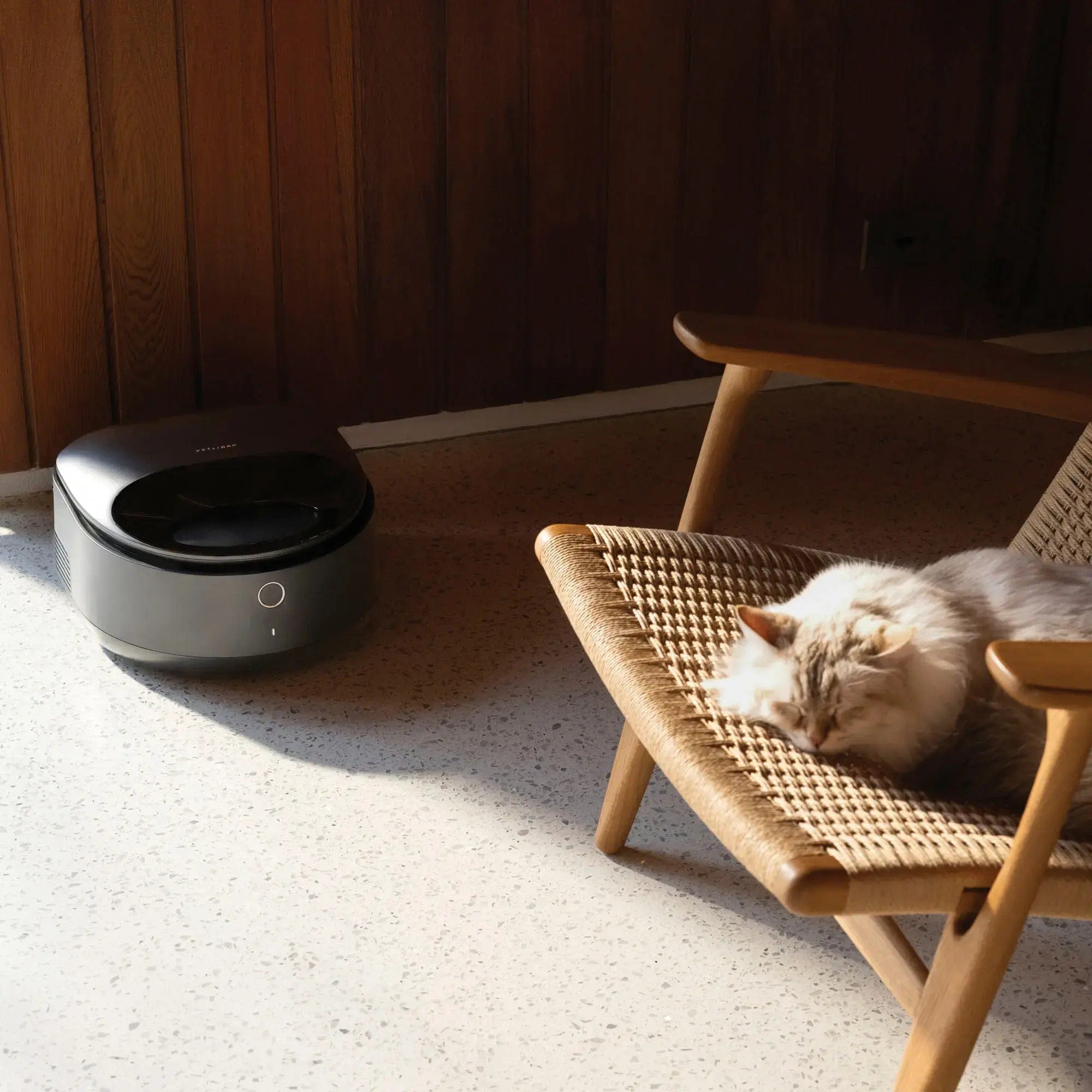 Petlibro Polar App Control Smart Wet Food Pet Feeder, 3 Meals, Anti-Pinch, Black - Certified Refurbished