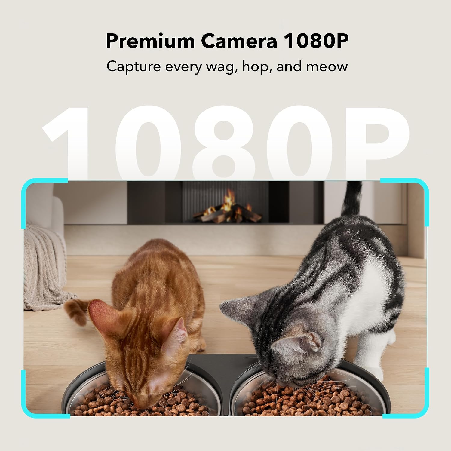 Petlibro Automatic Pet Feeder with Camera for Two Pets, 1080P HD Video with Night Vision, 5G Wi-Fi, 2-Way Audio - Certified Refurbished
