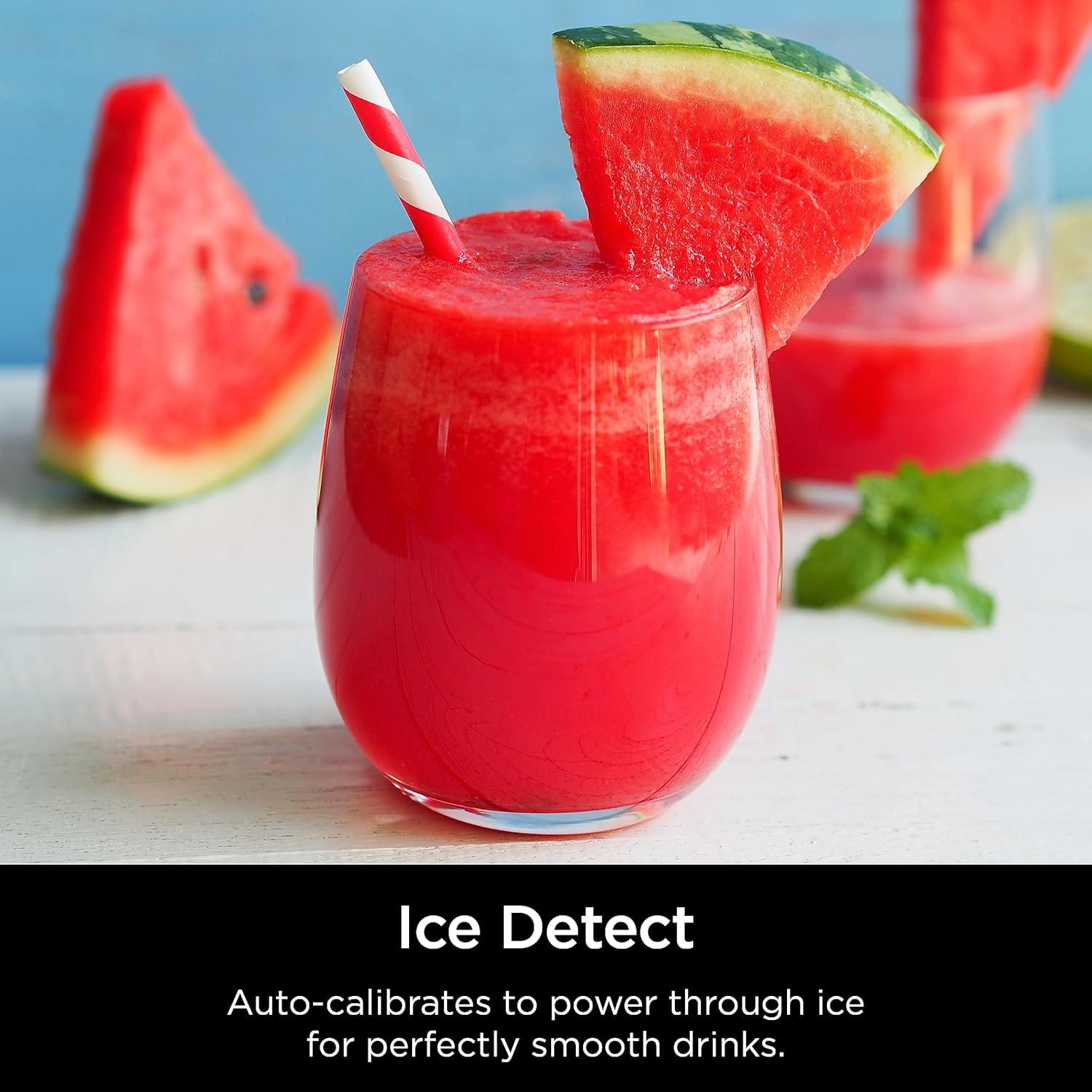 Ninja Detect Kitchen System Power Blender Plus Processor Pro with BlendSense Technology, Black - Certified Refurbished