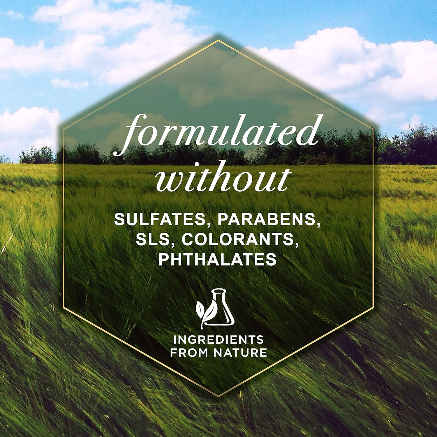 Burt's Bees Dog Refreshing Spray, Grapefruit Scent, pH Balanced, Formulated Without Sulfates and Parabens, 8 oz