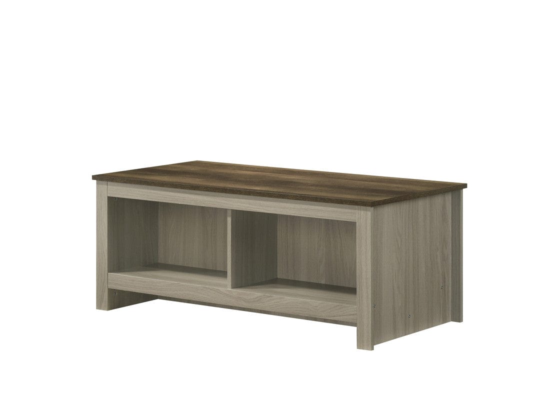 Willow & Hearth Nyla 43"W Gray Oak Coffee Table with Open Shelves Front and Back