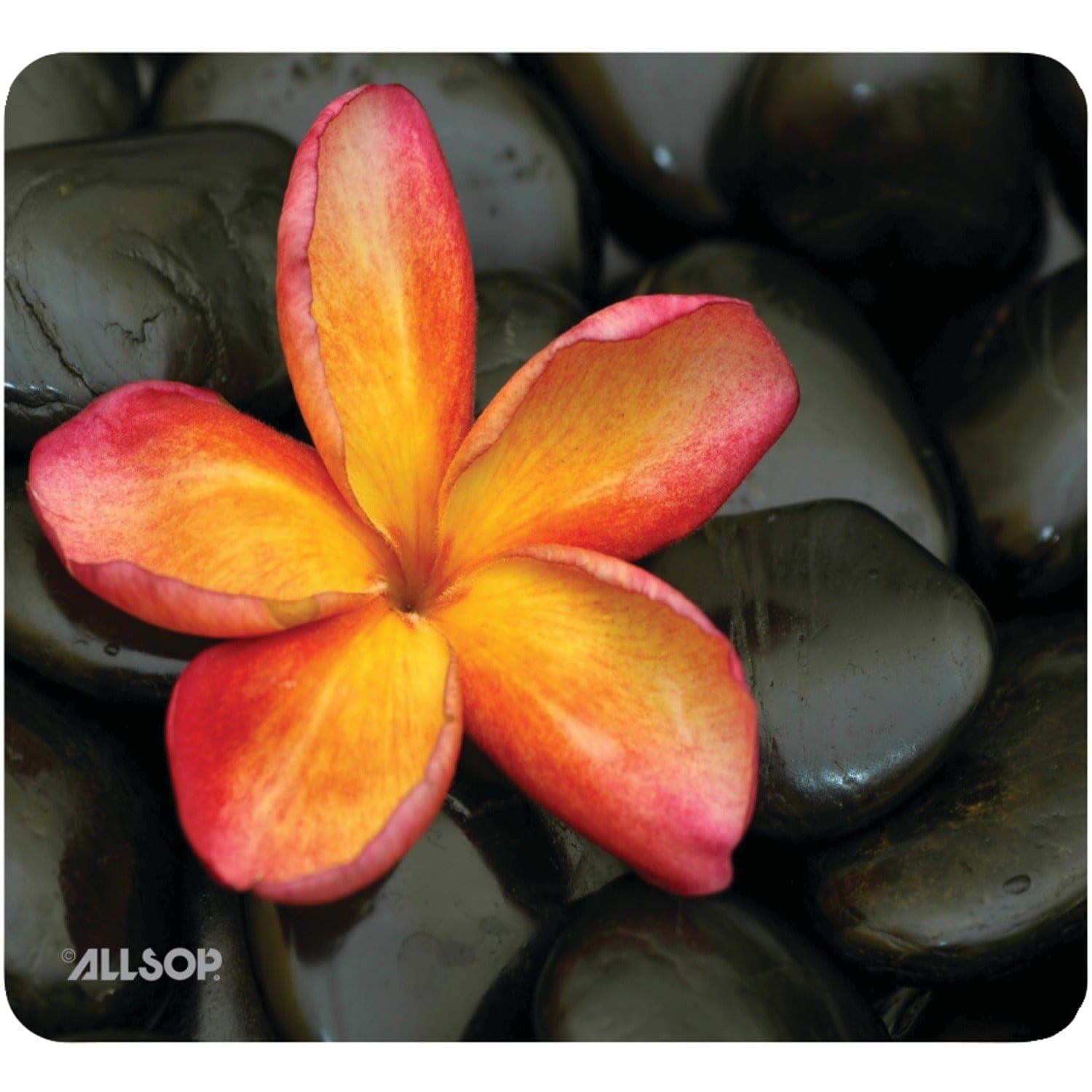 Allsop NatureSmart Mouse Pad, Floral
