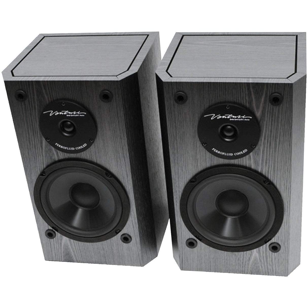 BIC America 175-Watt Venturi DV62si Powered Bookshelf/Surround Sound Speaker Set with 6.5-In. Woofers, Pair