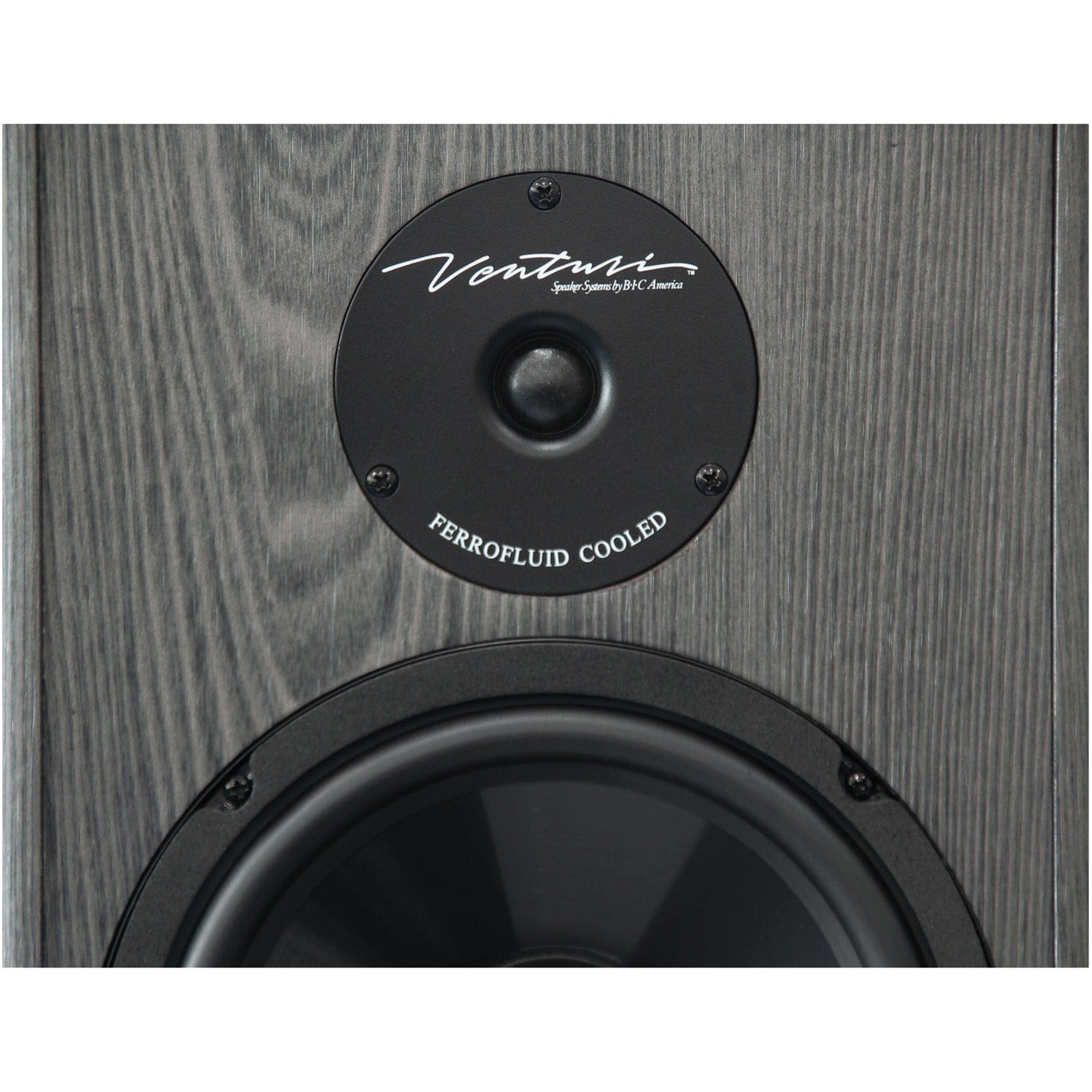 BIC America 175-Watt Venturi DV62si Powered Bookshelf/Surround Sound Speaker Set with 6.5-In. Woofers, Pair