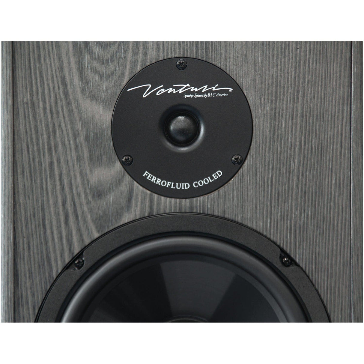 BIC America 175-Watt Venturi DV62si Powered Bookshelf/Surround Sound Speaker Set with 6.5-In. Woofers, Pair