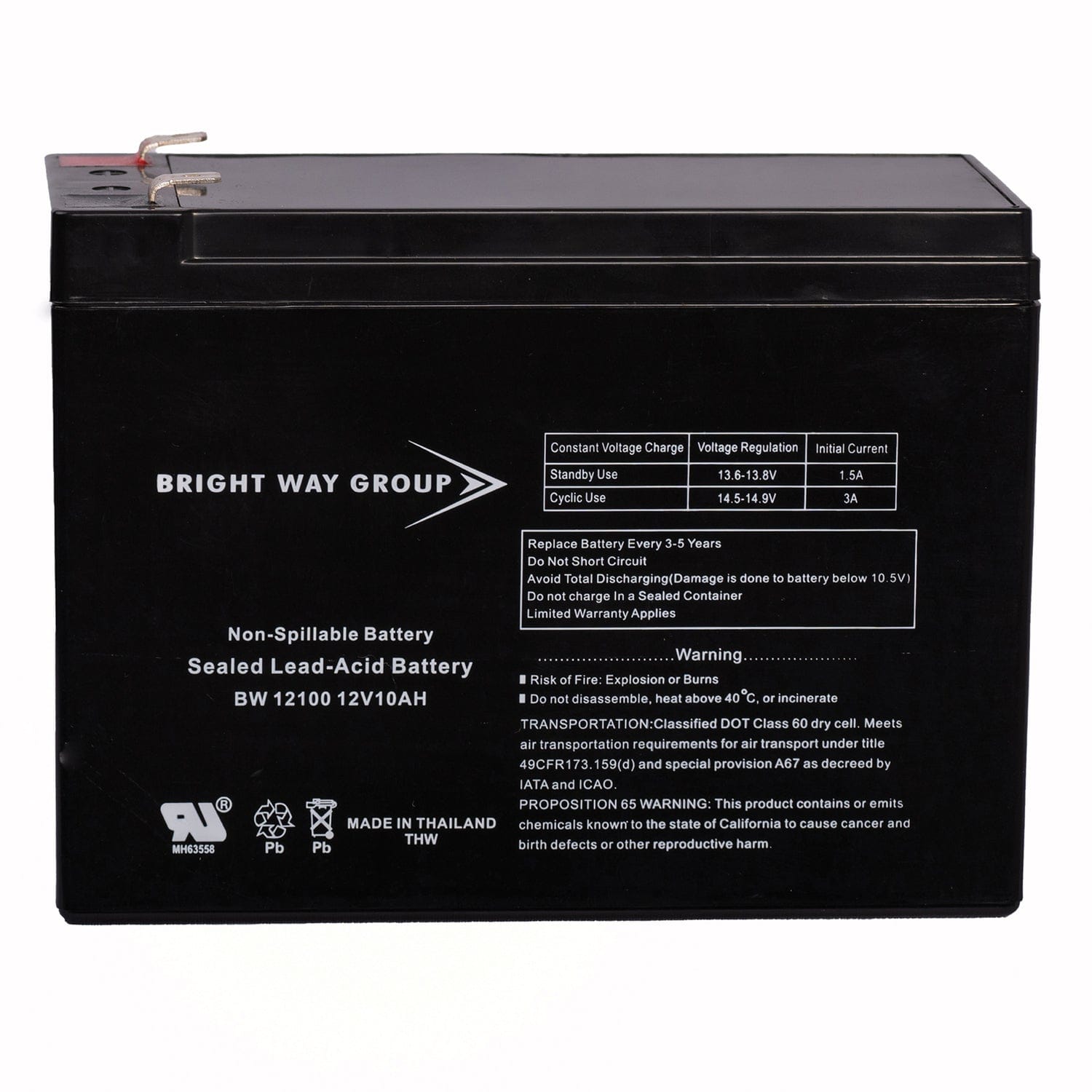 Bright Way Group BWG 12100-S F2 Sealed Lead Acid Battery