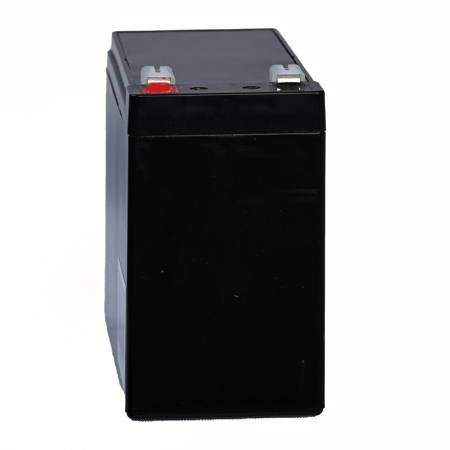 Bright Way Group BWG 12100-S F2 Sealed Lead Acid Battery