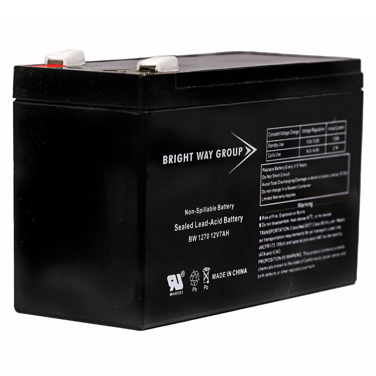 Bright Way Group BWG 1270 F1 Battery