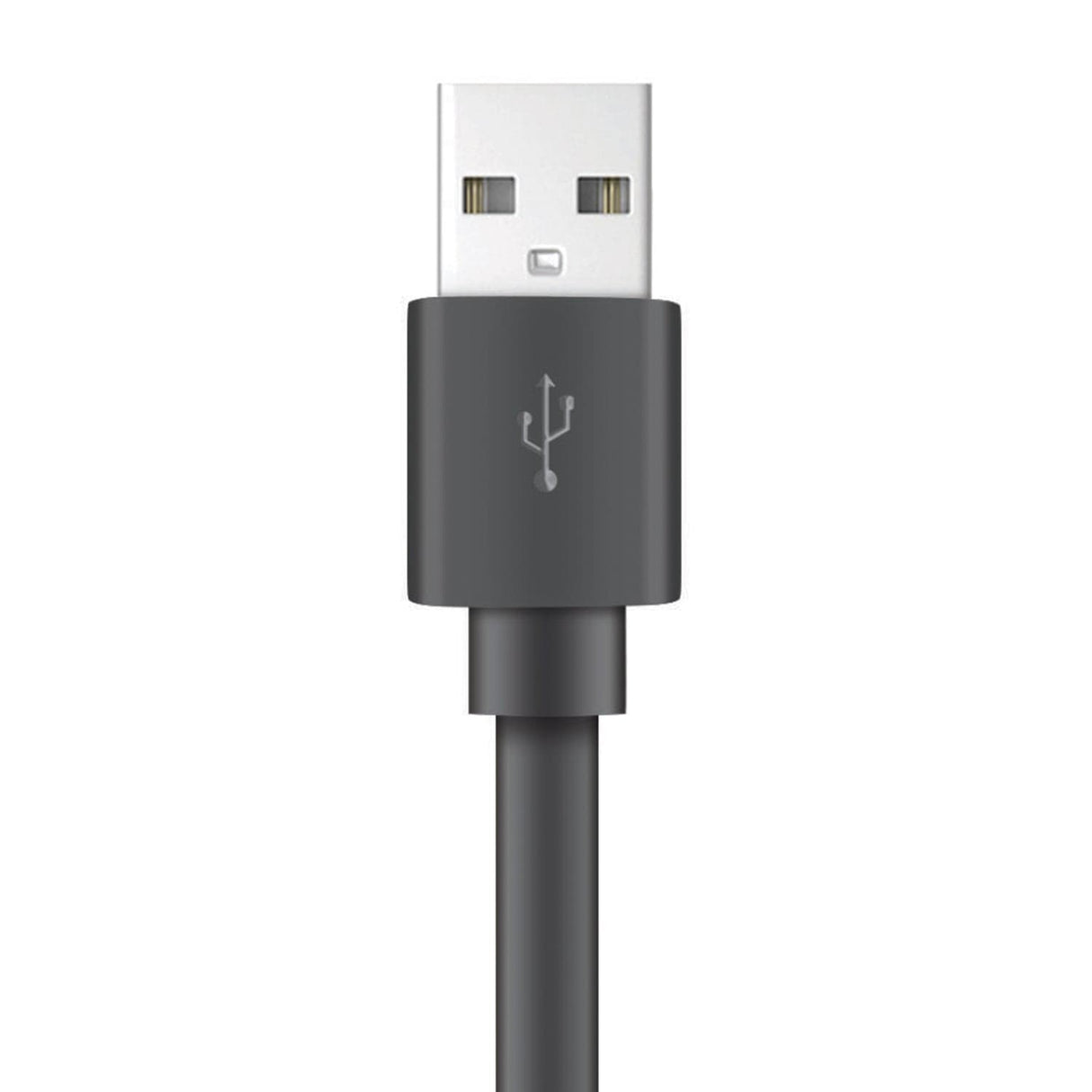 XYST Charge and Sync USB to Lightning Flat Cable, 4 Ft., Black