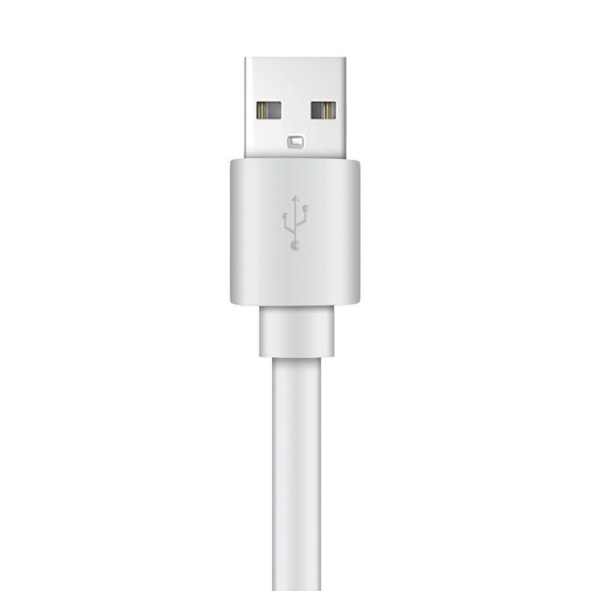 XYST Charge and Sync USB to Lightning Flat Cable, 4 Ft., White