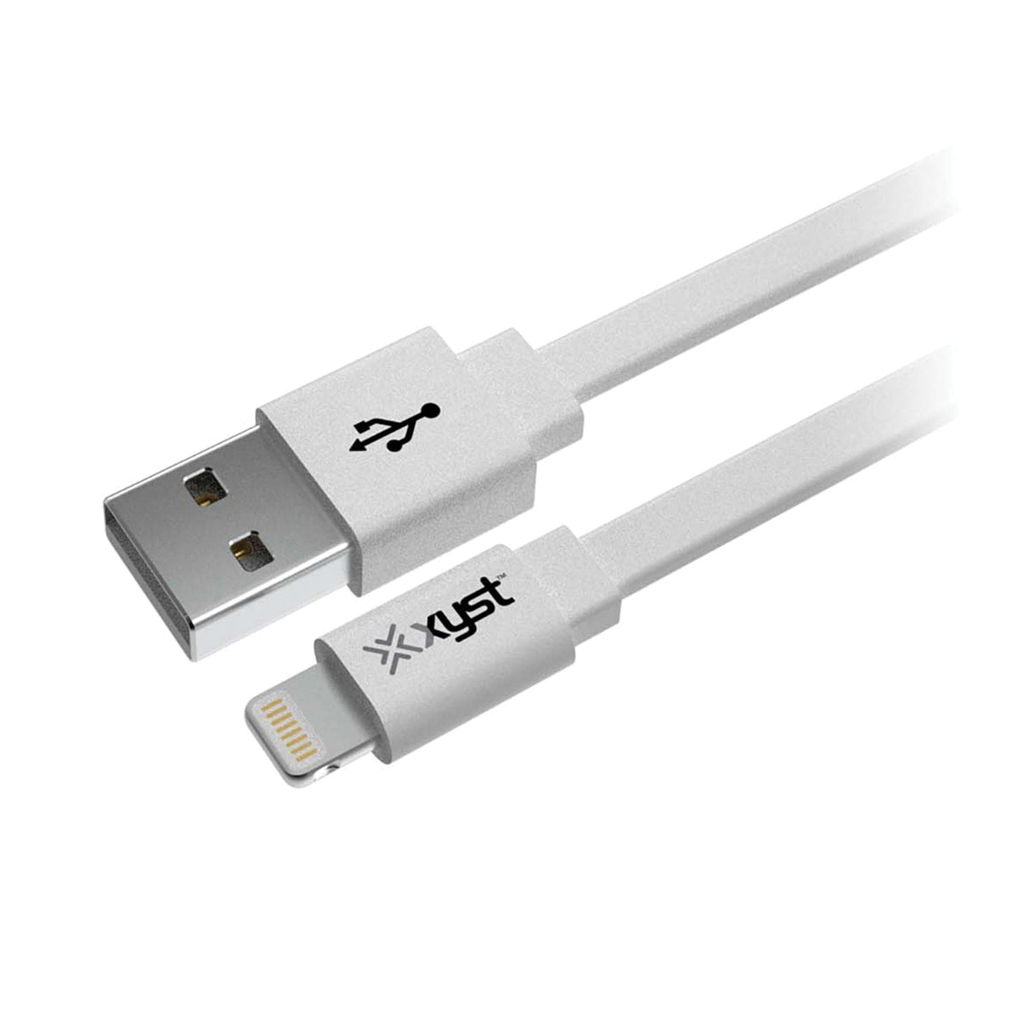 XYST 2.4-Amp Dual USB Wall Charger With 4-Ft. Apple Lightning Cable