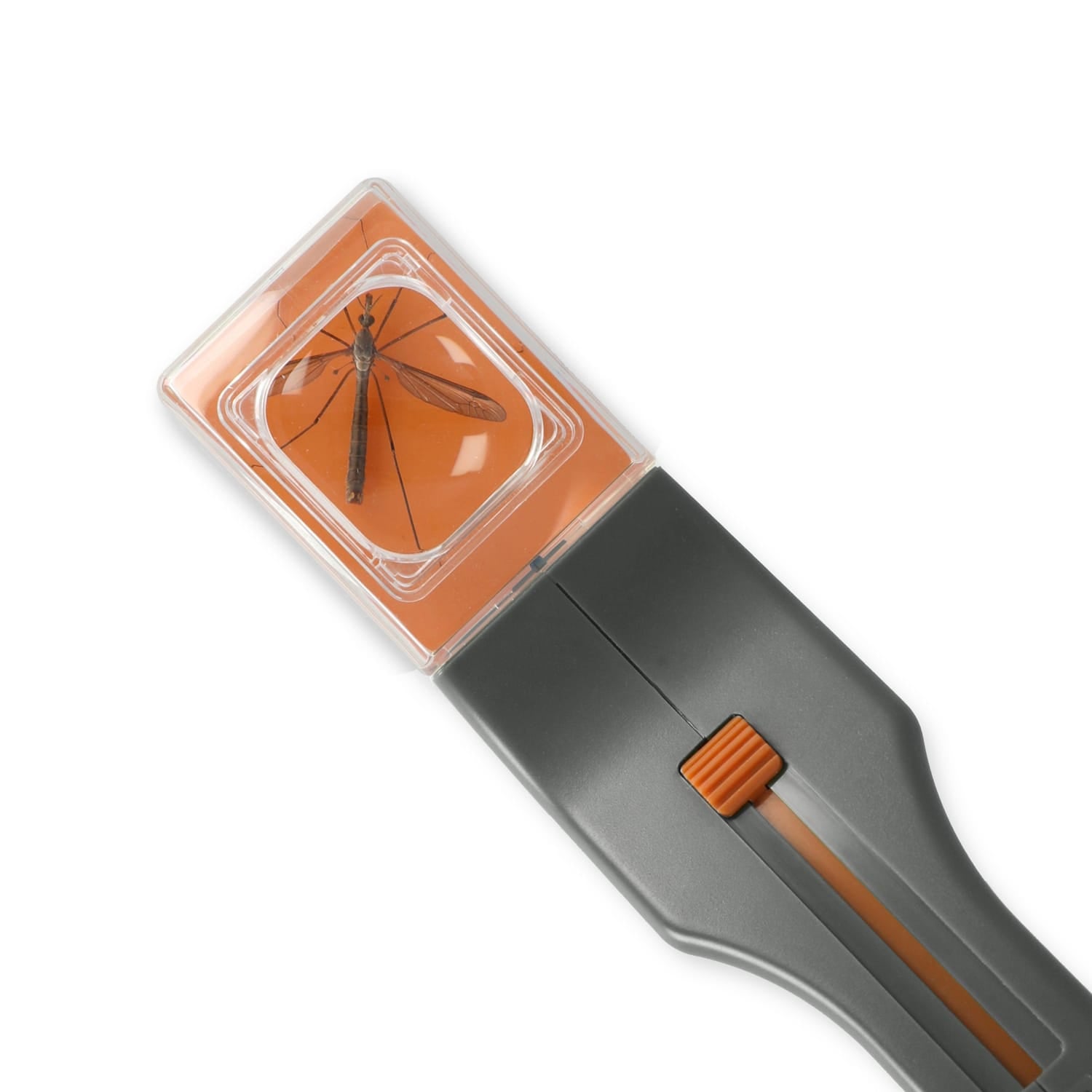 Carson 5x Humane Bug Catcher Catch-and-Release Magnifier Tool