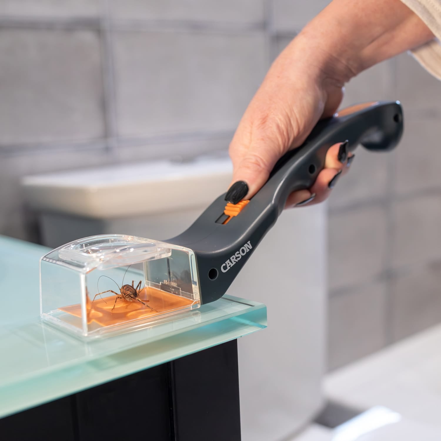 Carson 5x Humane Bug Catcher Catch-and-Release Magnifier Tool