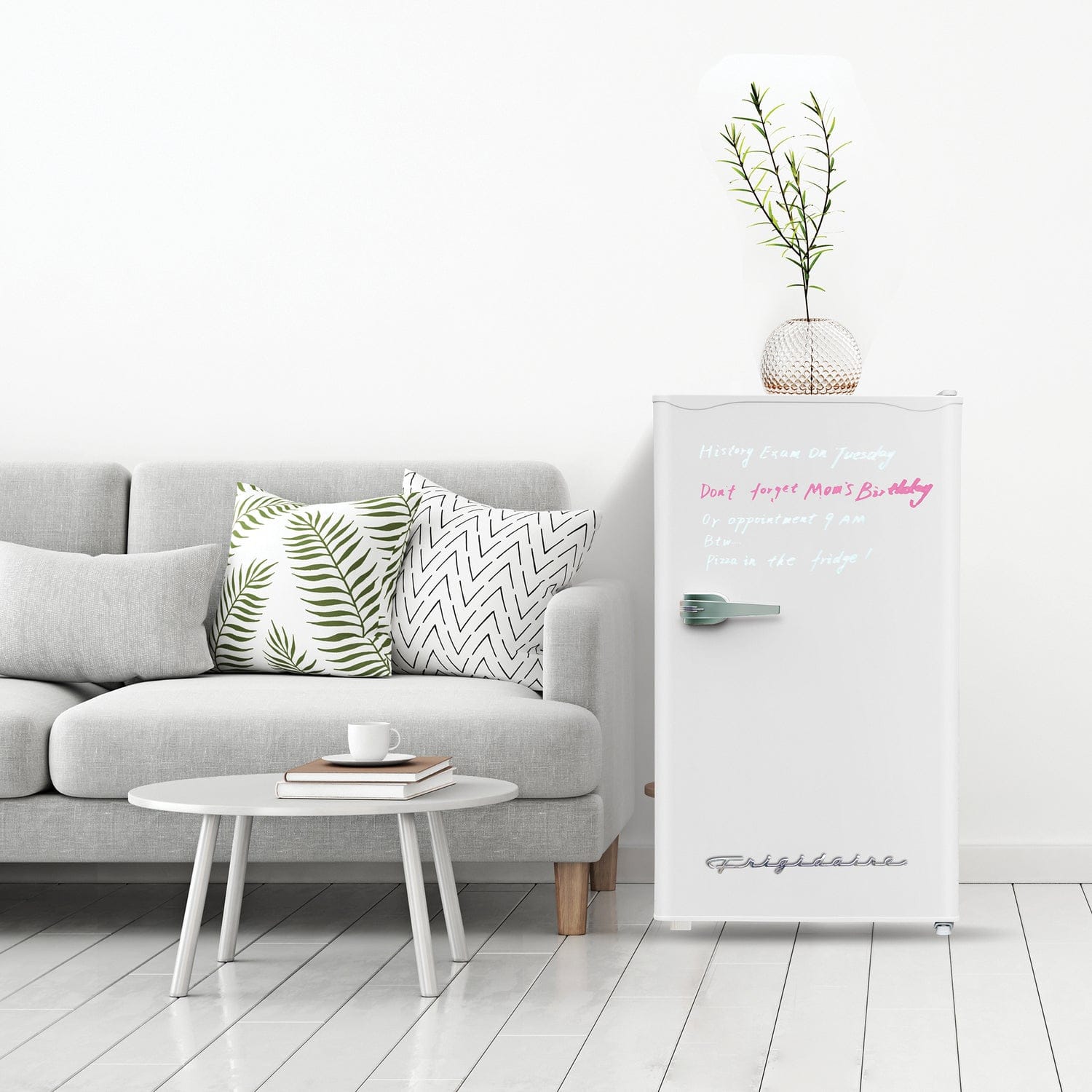 Frigidaire 3.2-Cu.-Ft. 65-Watt Eraser-Board Door Retro Compact Fridge, White