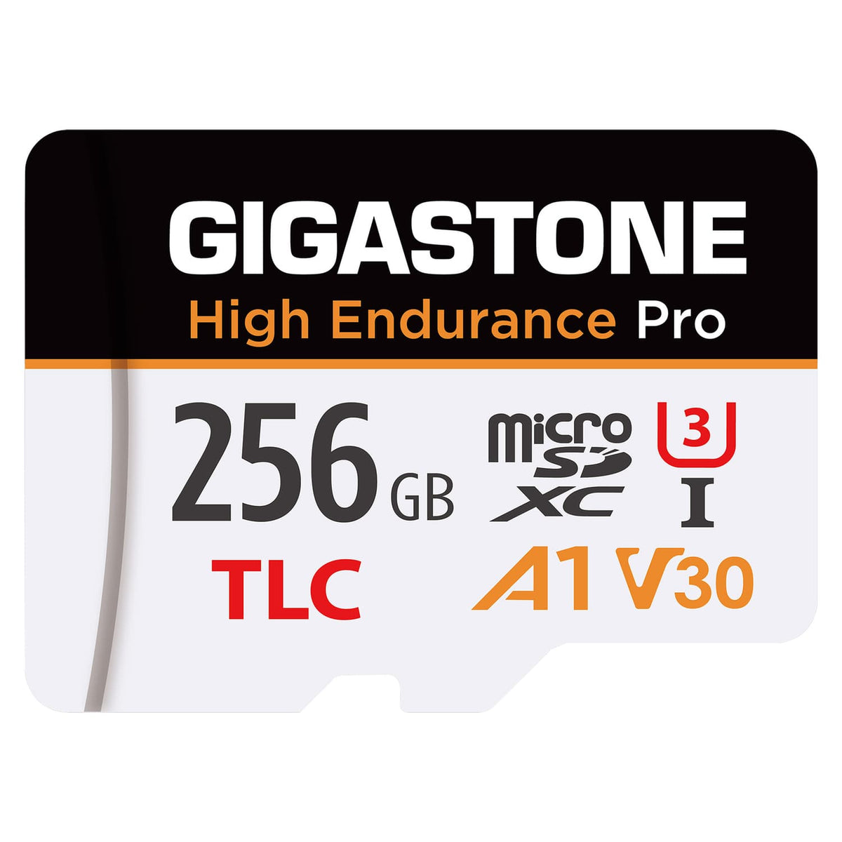 Gigastone TLC High Endurance Pro microSD Card, 256 GB