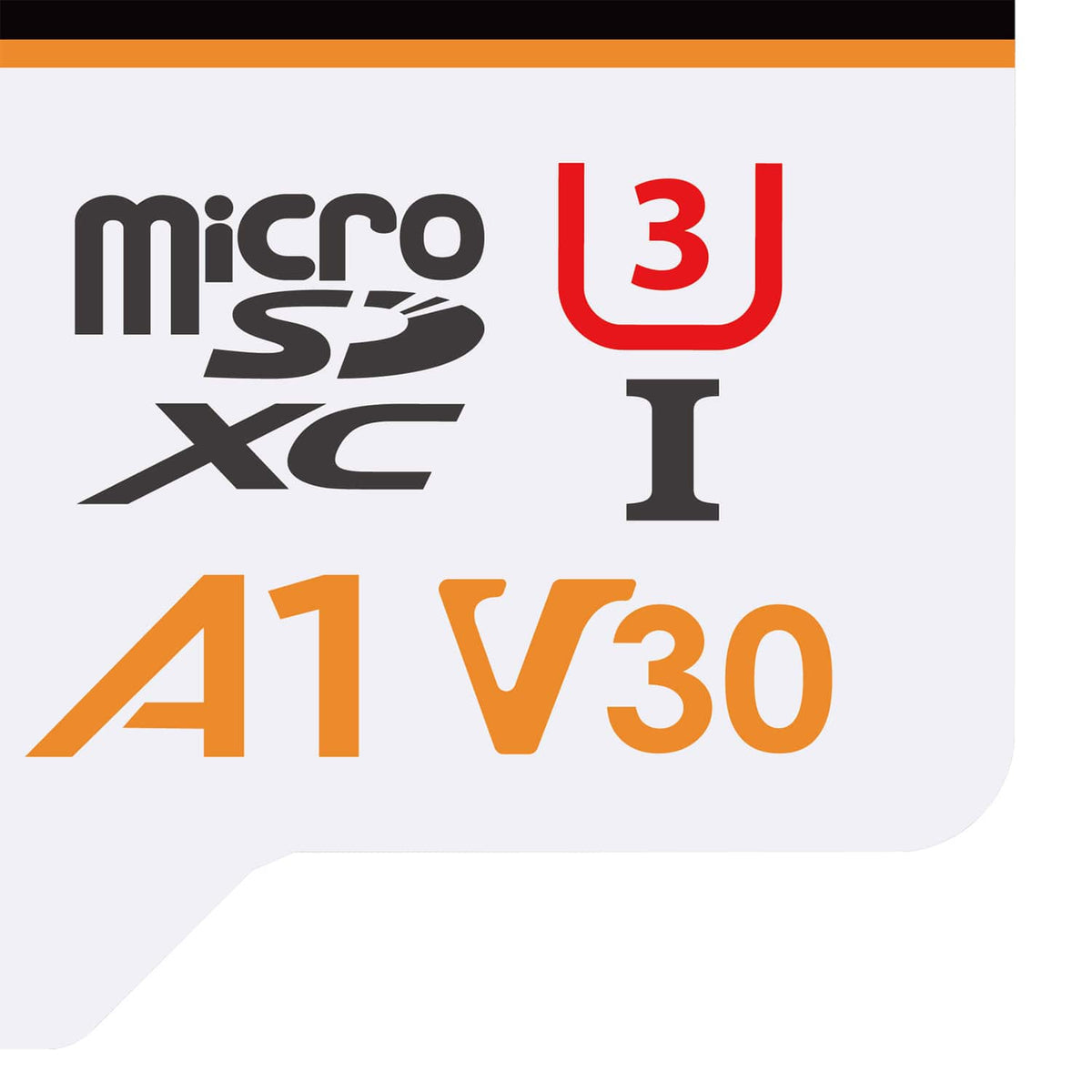 Gigastone TLC High Endurance Pro microSD Card, 128 GB