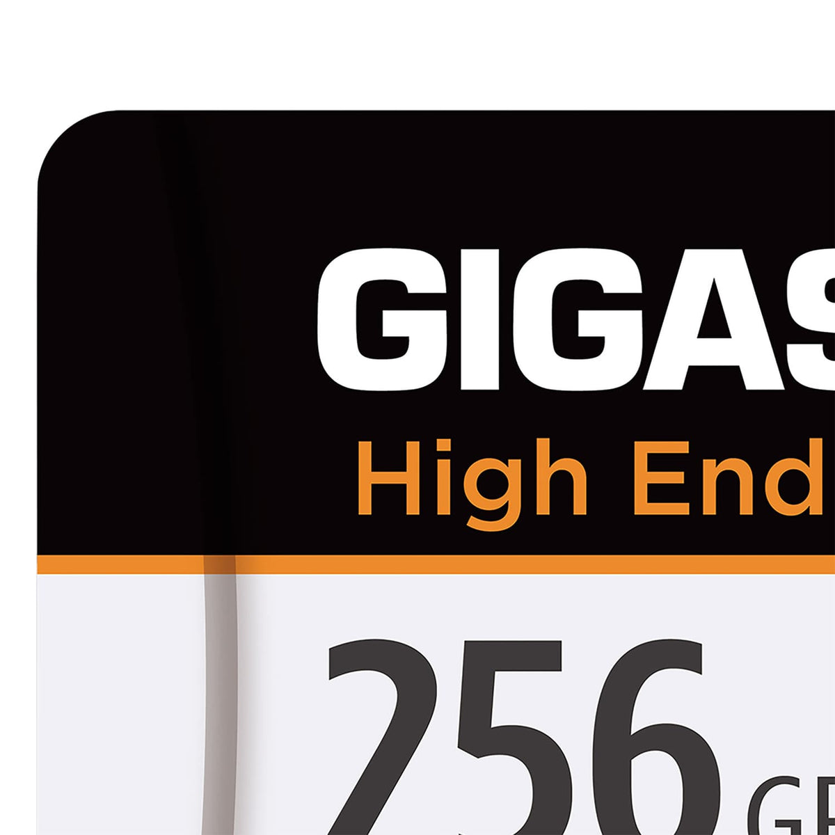 Gigastone TLC High Endurance Pro microSD Card, 256 GB