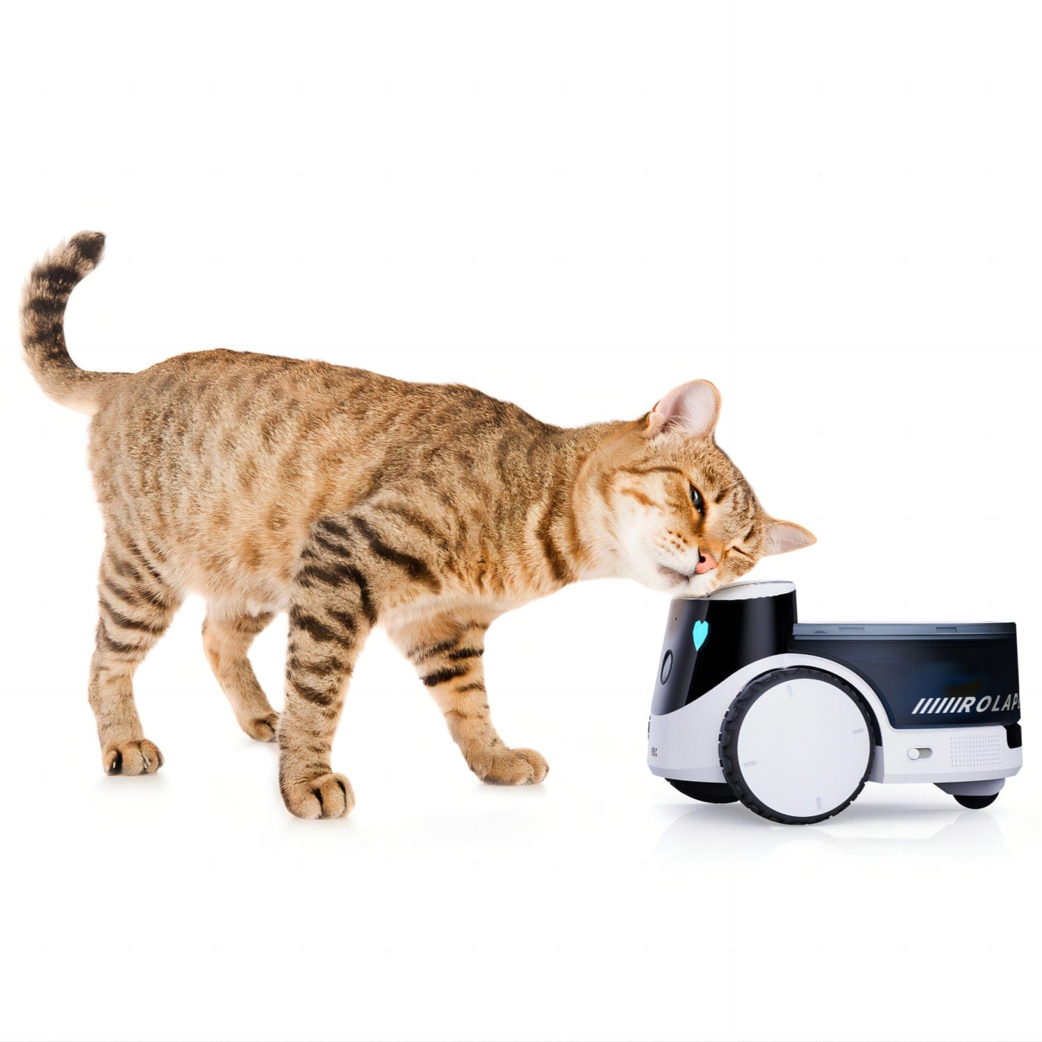 Enabot ROLA PetPal Moving Pet Security and Companion Robot, with 2.5K QHD Camera and 2-Way Voice Communications