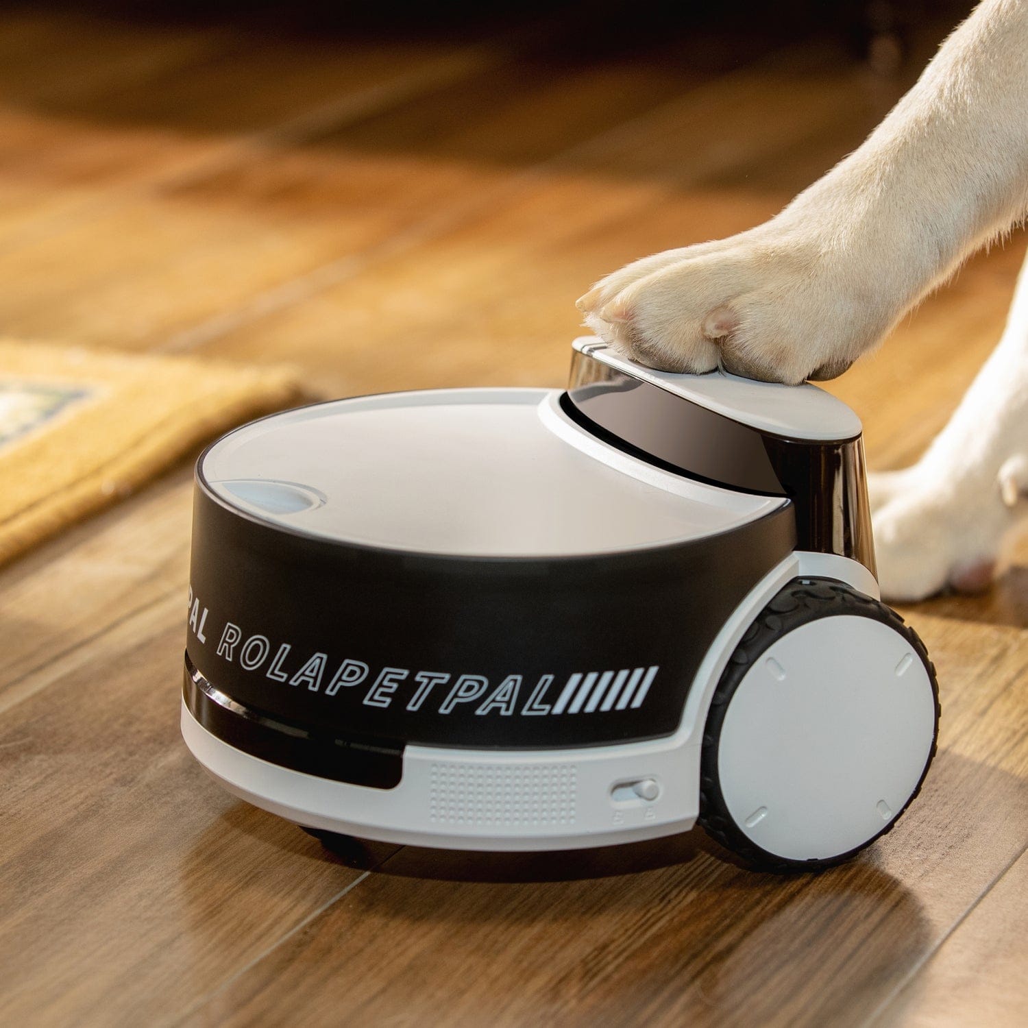 Enabot ROLA PetPal Moving Pet Security and Companion Robot, with 2.5K QHD Camera and 2-Way Voice Communications