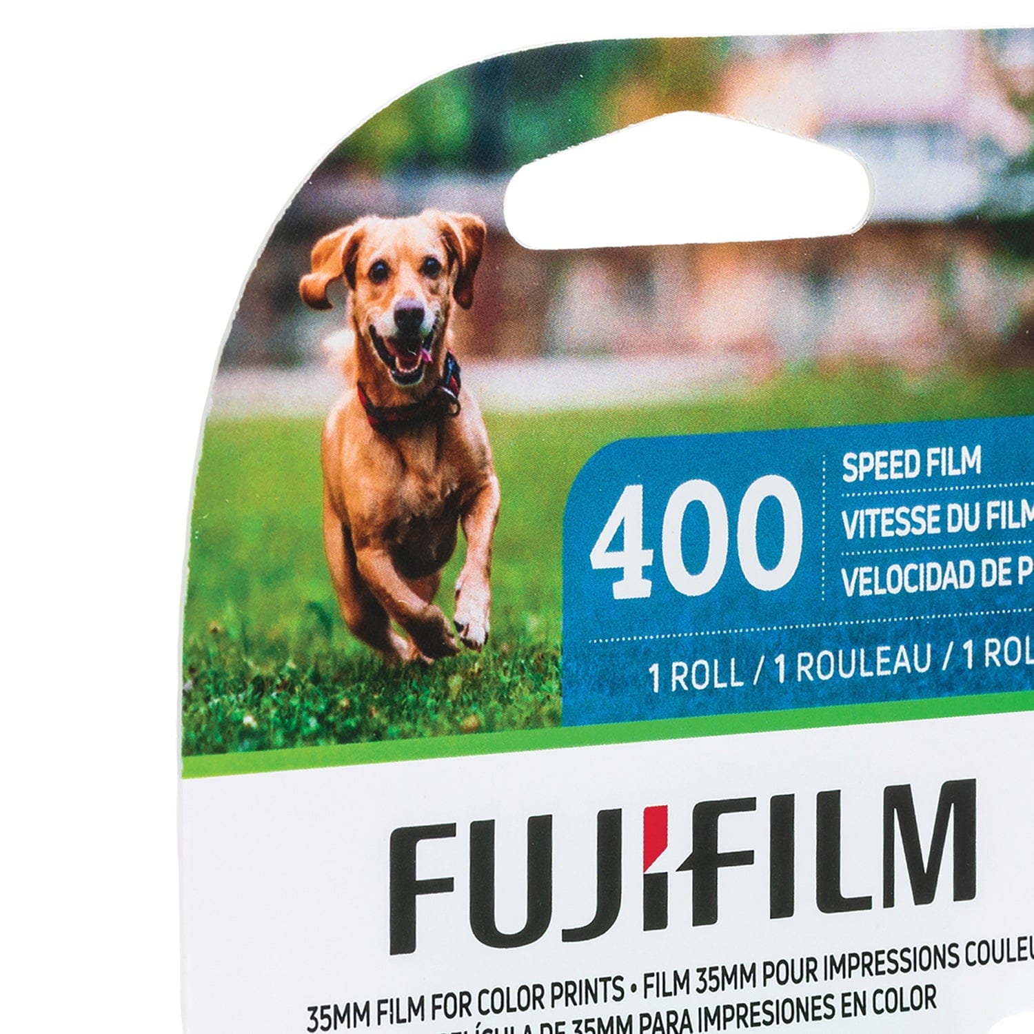 Fujifilm ISO 400 36-Exposure Color Negative Film, 1 Pack