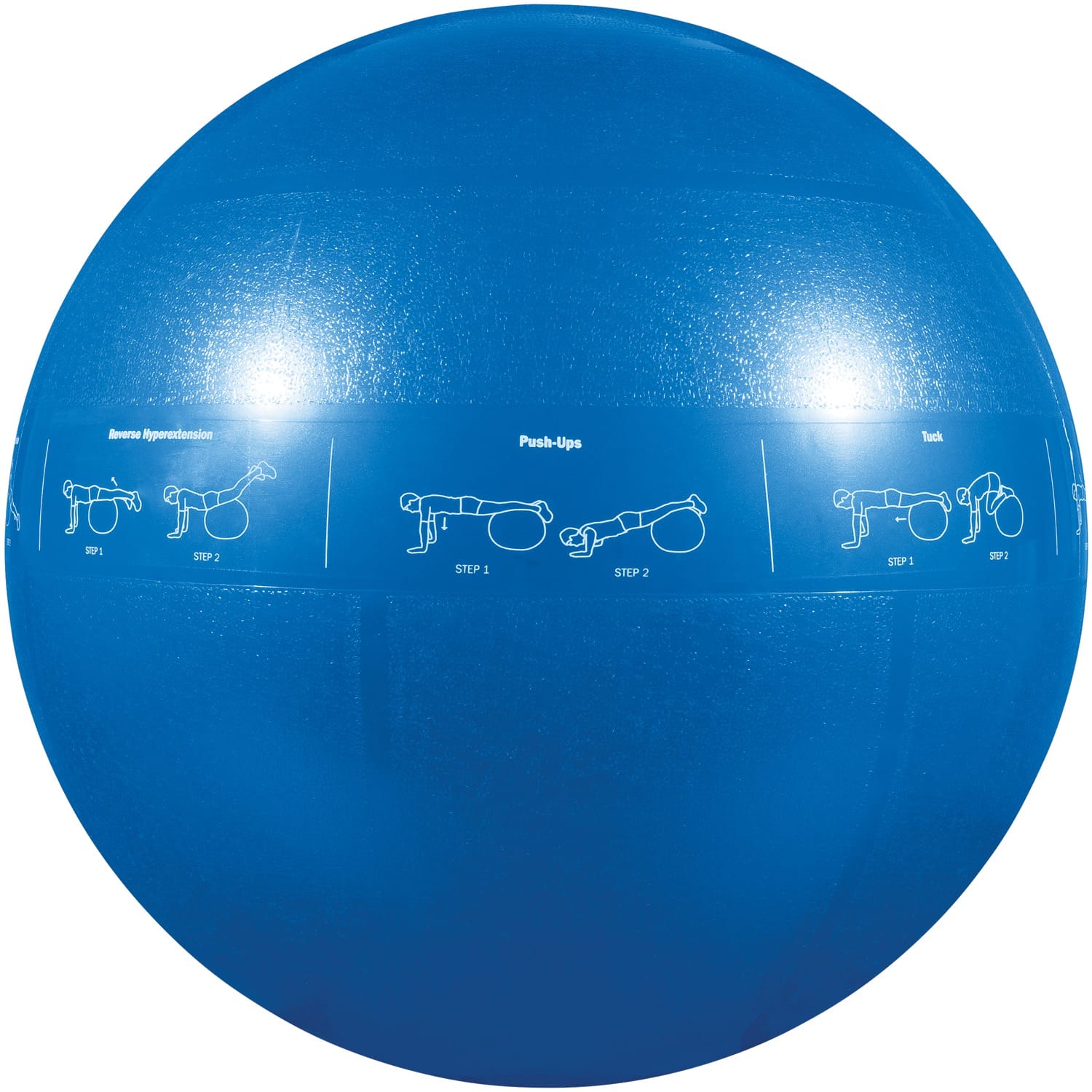 GoFit Pro Grade Stability Guide Ball with Pump, 55cm, Blue