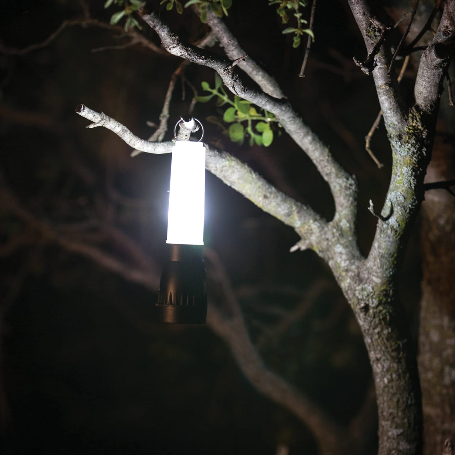 LifeGear 200-Lumen Floating Flashlight and Lantern