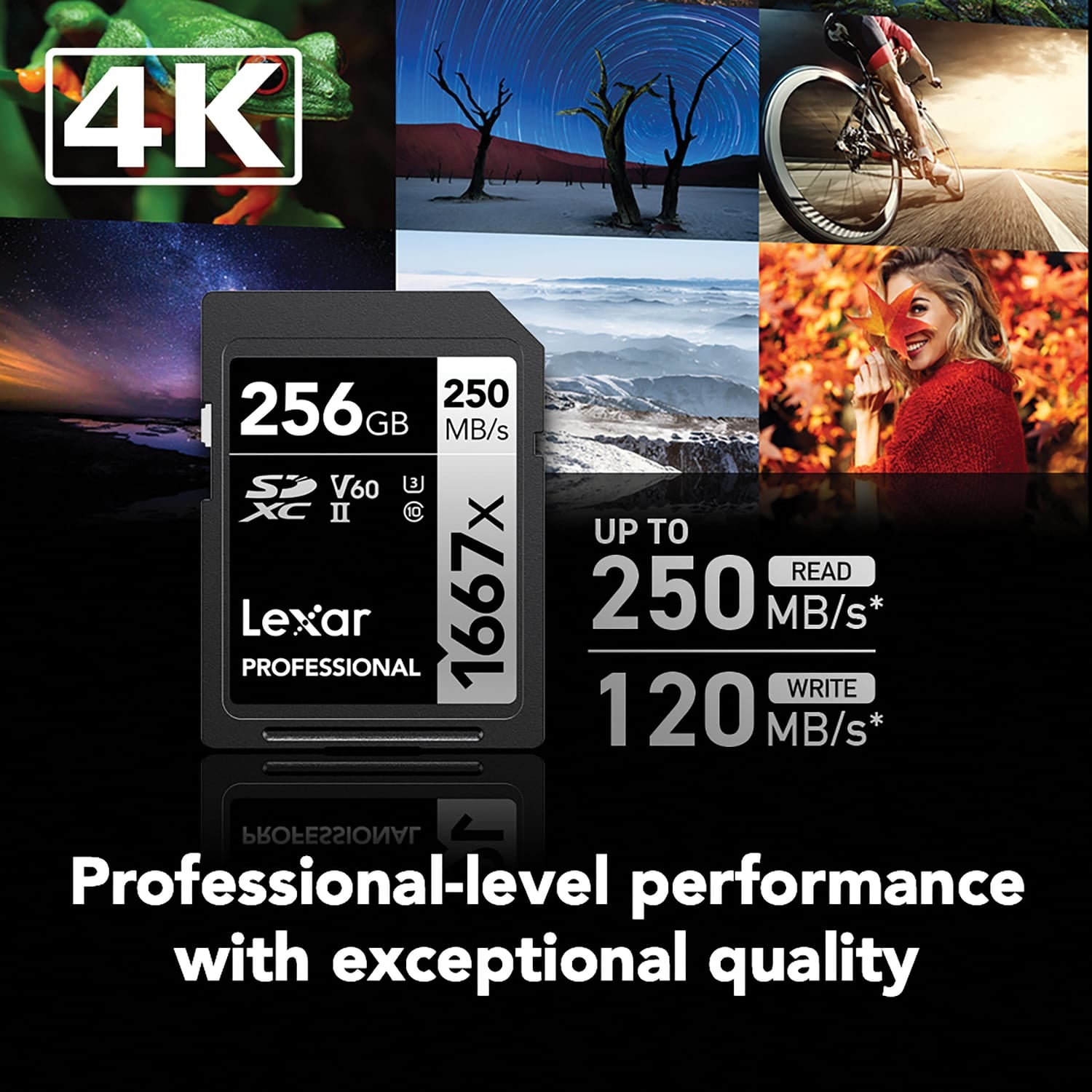 Lexar Professional SILVER Series 1667x SDXC UHS-II Card, 2 Pack, 256 GB