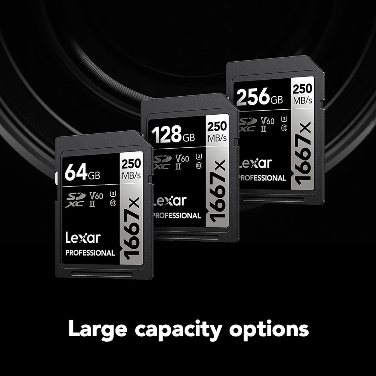 Lexar Professional SILVER Series 1667x SDXC UHS-II Card, 256 GB