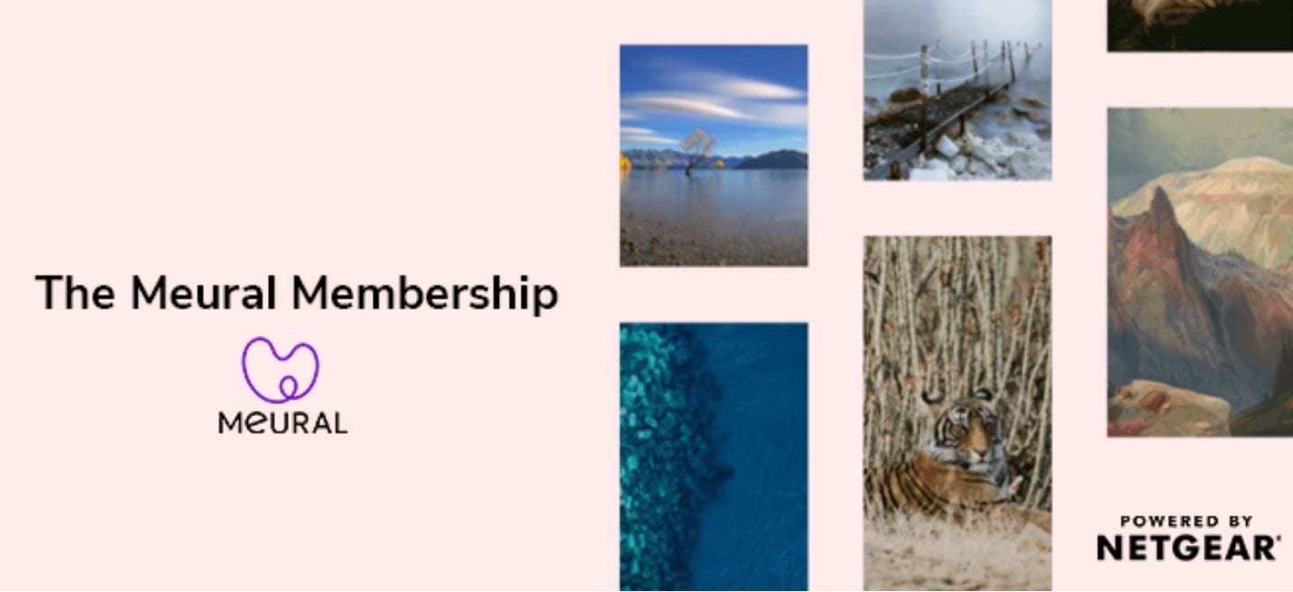 Meural Canvas Annual Membership Card for Digital Picture Frame