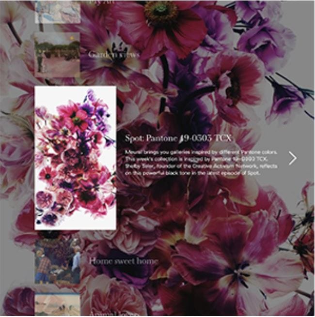 Meural Canvas Annual Membership Card for Digital Picture Frame