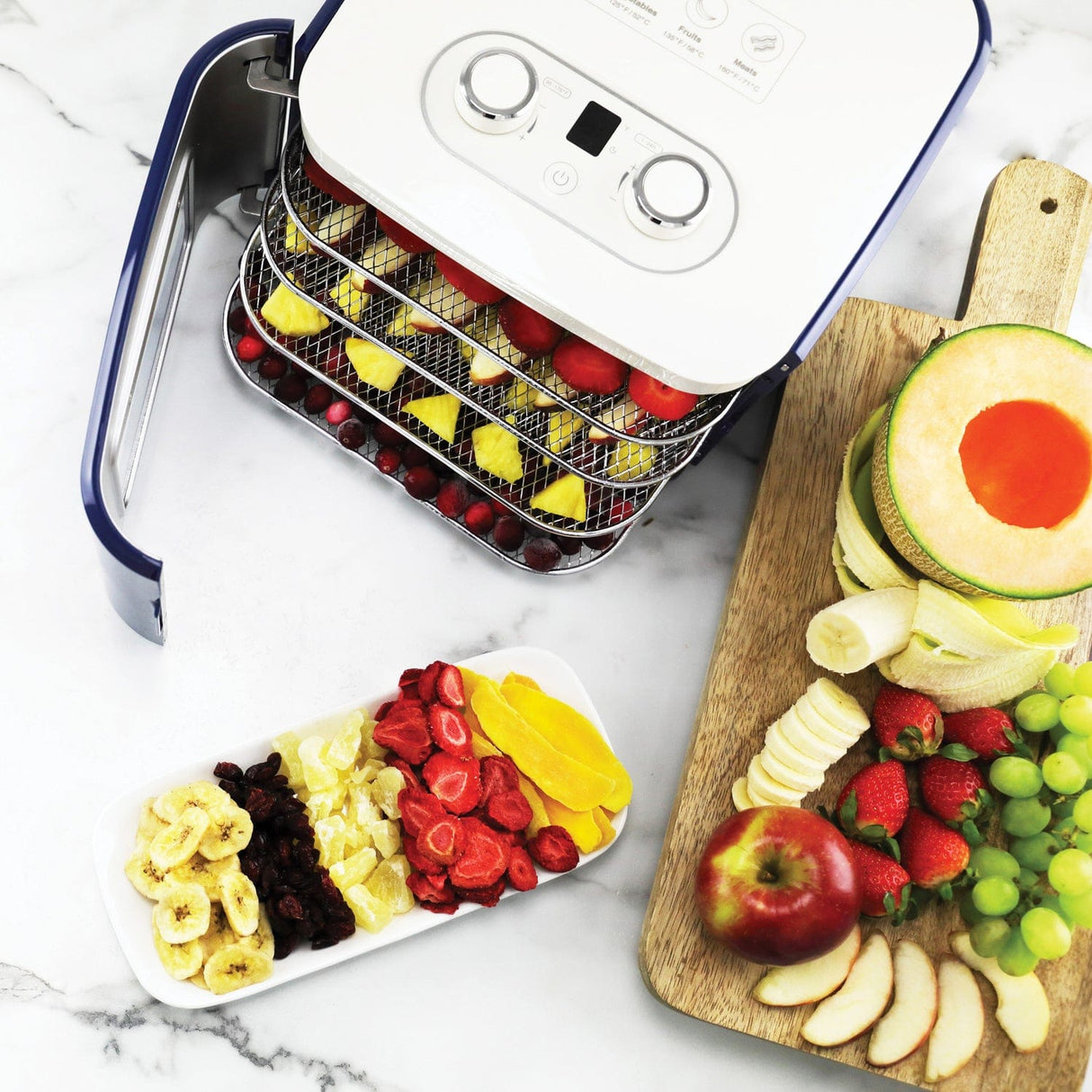 Nesco 400-Watt Snackmaster Jr. Dehydrator
