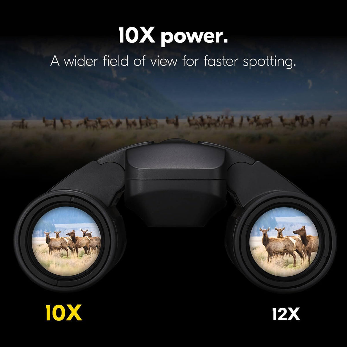 Nikon STABILIZED 10x25 S Binoculars for Image Stabilization with Case, Neck Strap, Batteries, and Lens Covers