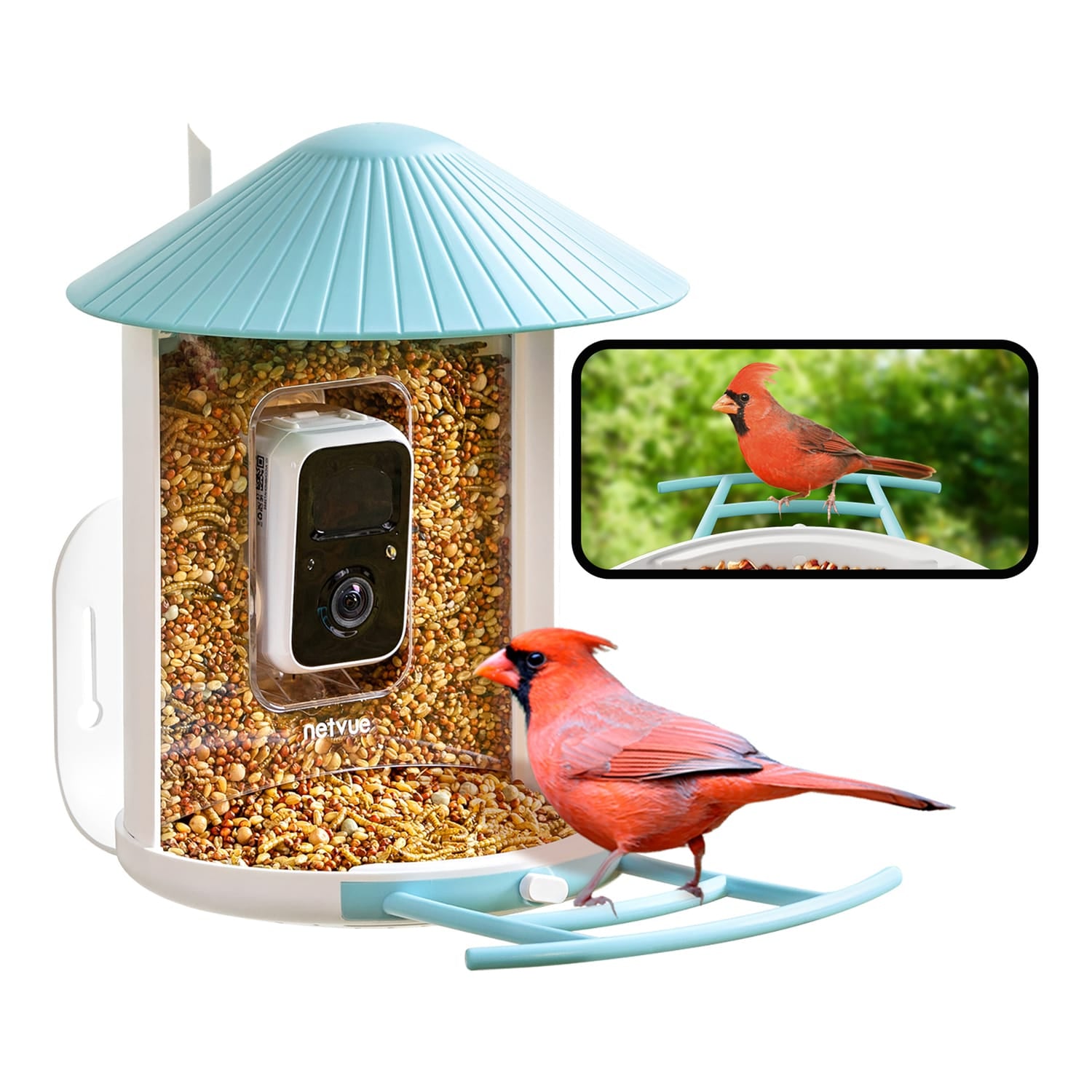 Birdfy Feeder 1 Smart Bird Feeder with Camera and AI by Subscription