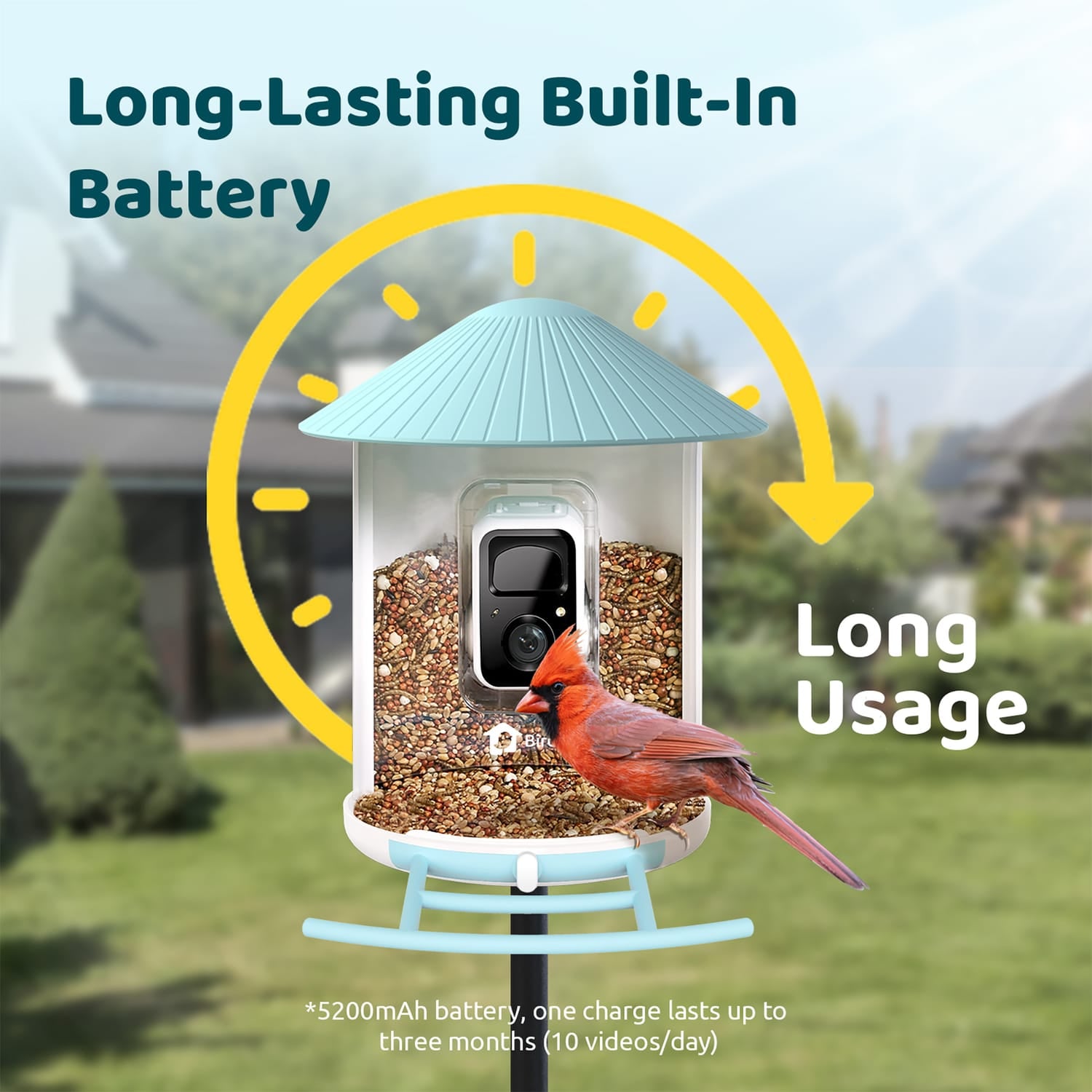 Birdfy Feeder 1 Smart Bird Feeder with Camera, Solar Panel, and AI by Subscription
