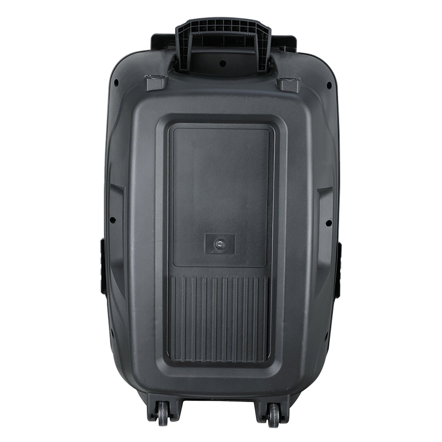QFX Portable Bluetooth True Wireless Speaker with LEDs, Wired Microphone, and Stand, and Remote Black, PBX-158SM
