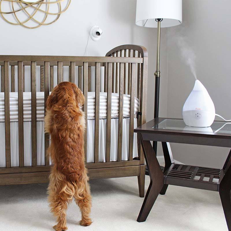 Crane EE-5302W Droplet Ultrasonic Cool Mist 0.5 Gallon Humidifier White - Certified Refurbished