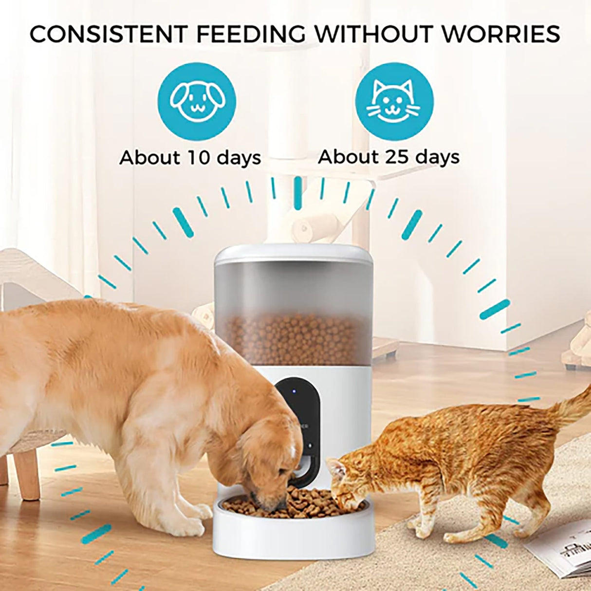 eco4life Wi-Fi 5.45-Qt. Smart Dry-Food Pet Feeder with Stainless Steel Bowl, SC-PF200