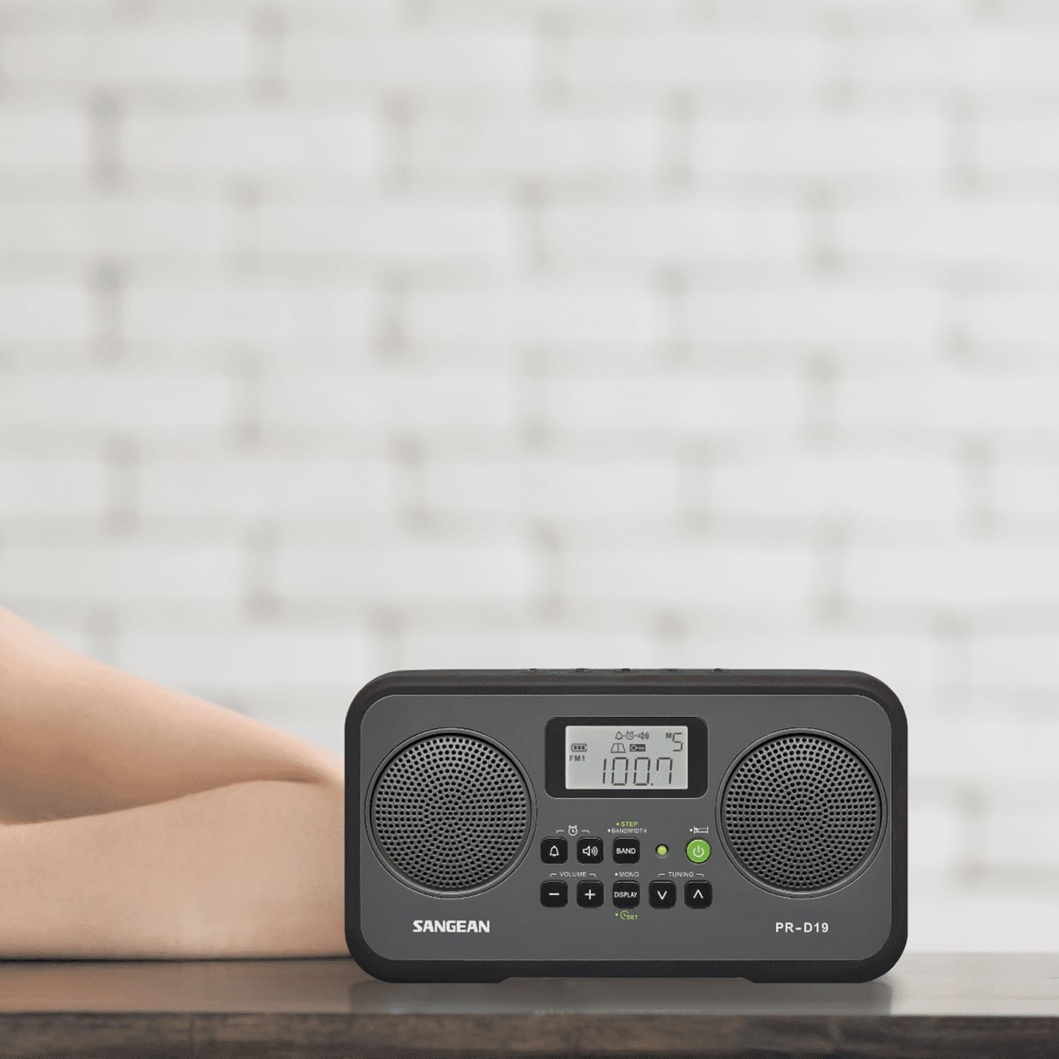 Sangean AM/FM Stereo Digital Tuning Portable Radio, PR-D19, Gray with Black Protective Bumper