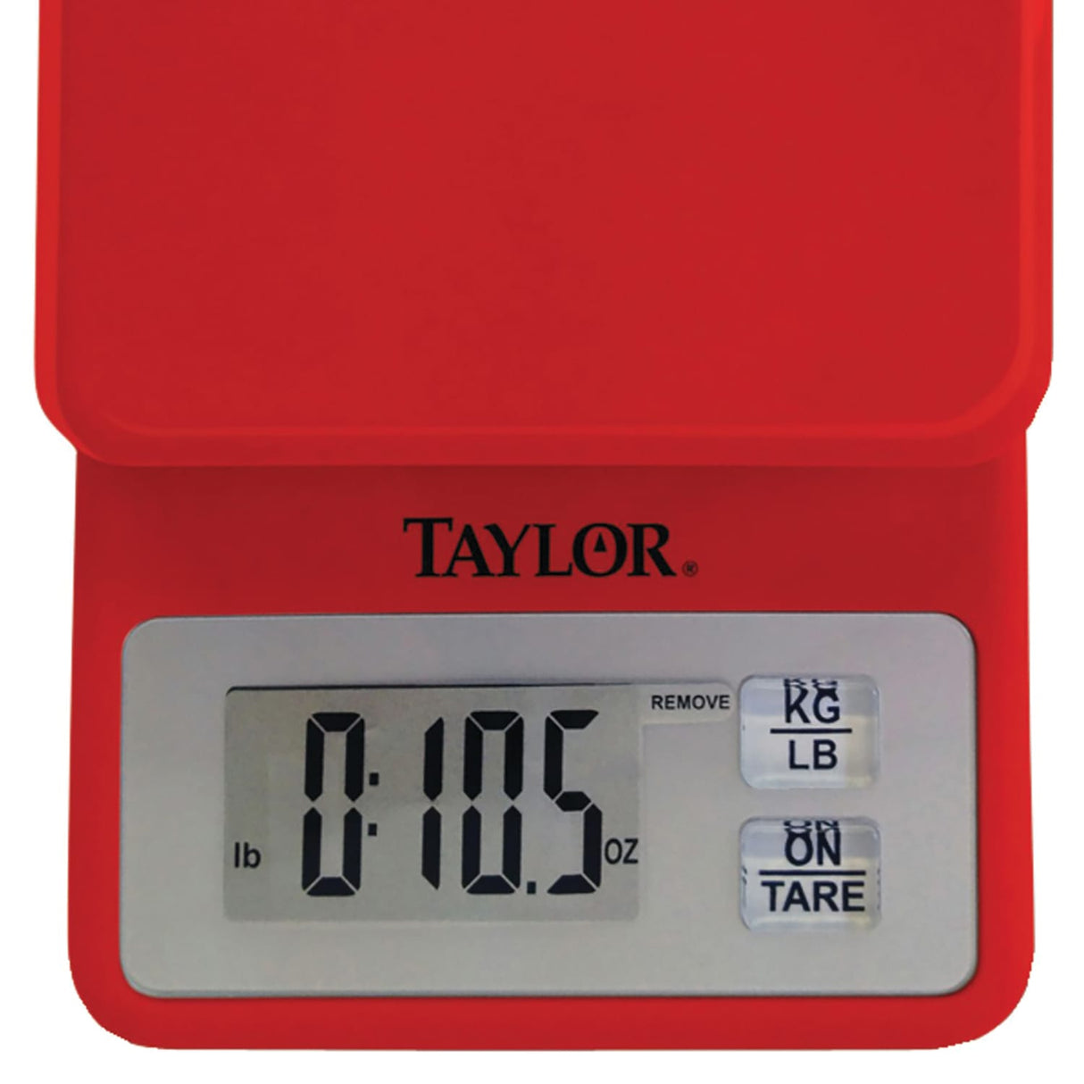 Taylor Precision Products 11 Lb.-Capacity Compact Kitchen Scale
