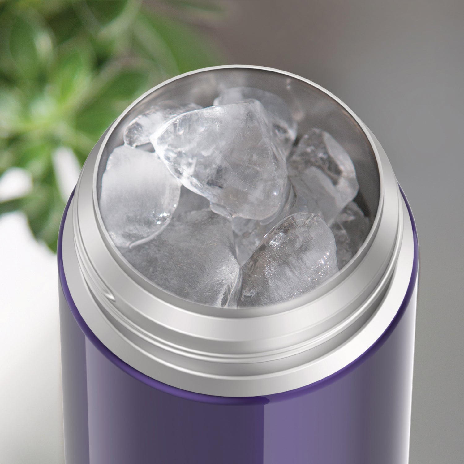 Thermos 12-Ounce FUNtainer Vacuum-Insulated Stainless Steel Bottle, Purple