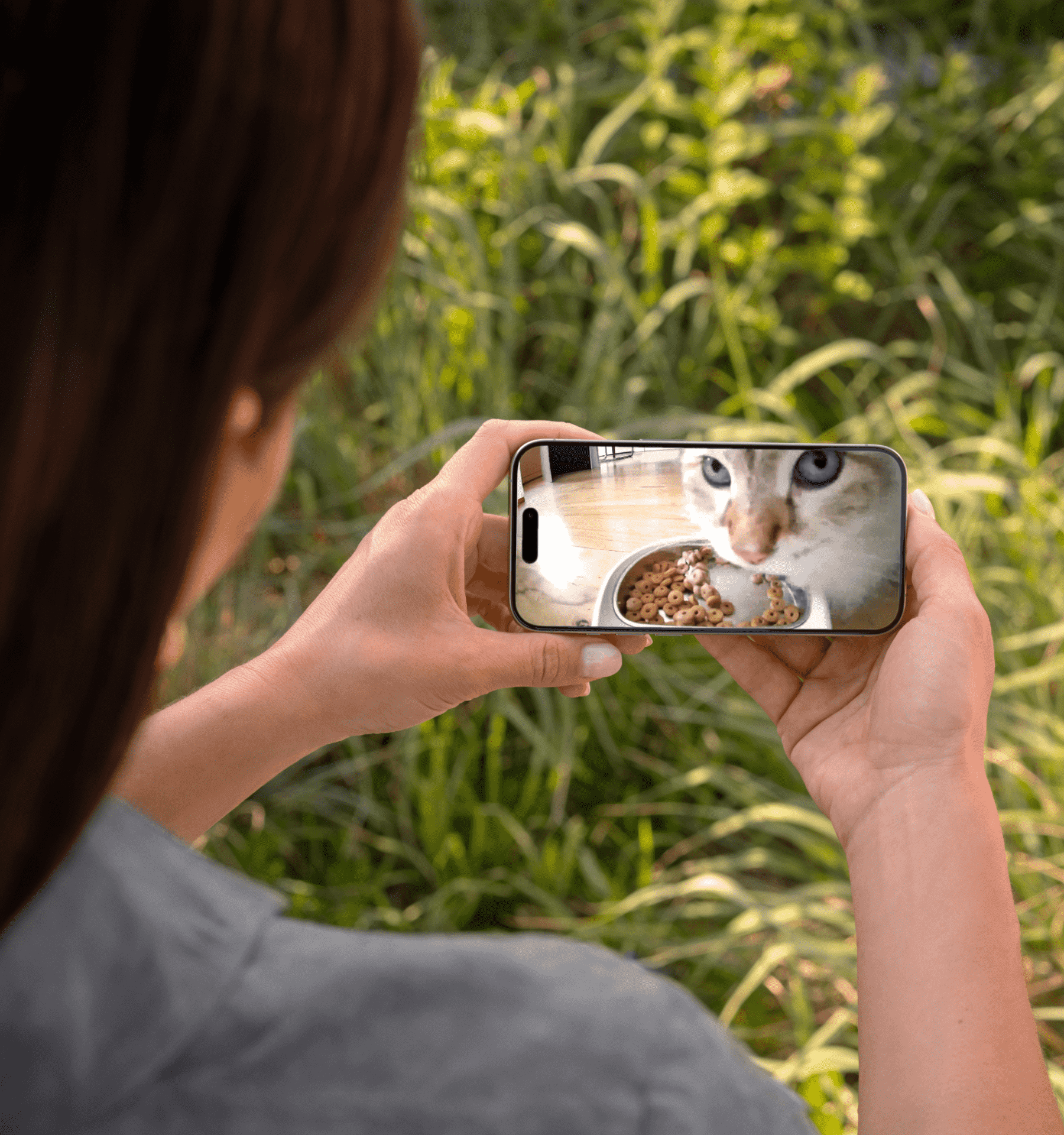 Petlibro Automatic Single Tray Smart Pet Feeder with Video Camera, Night Vision, Motion & Sound Alerts, White - Certified Refurbished