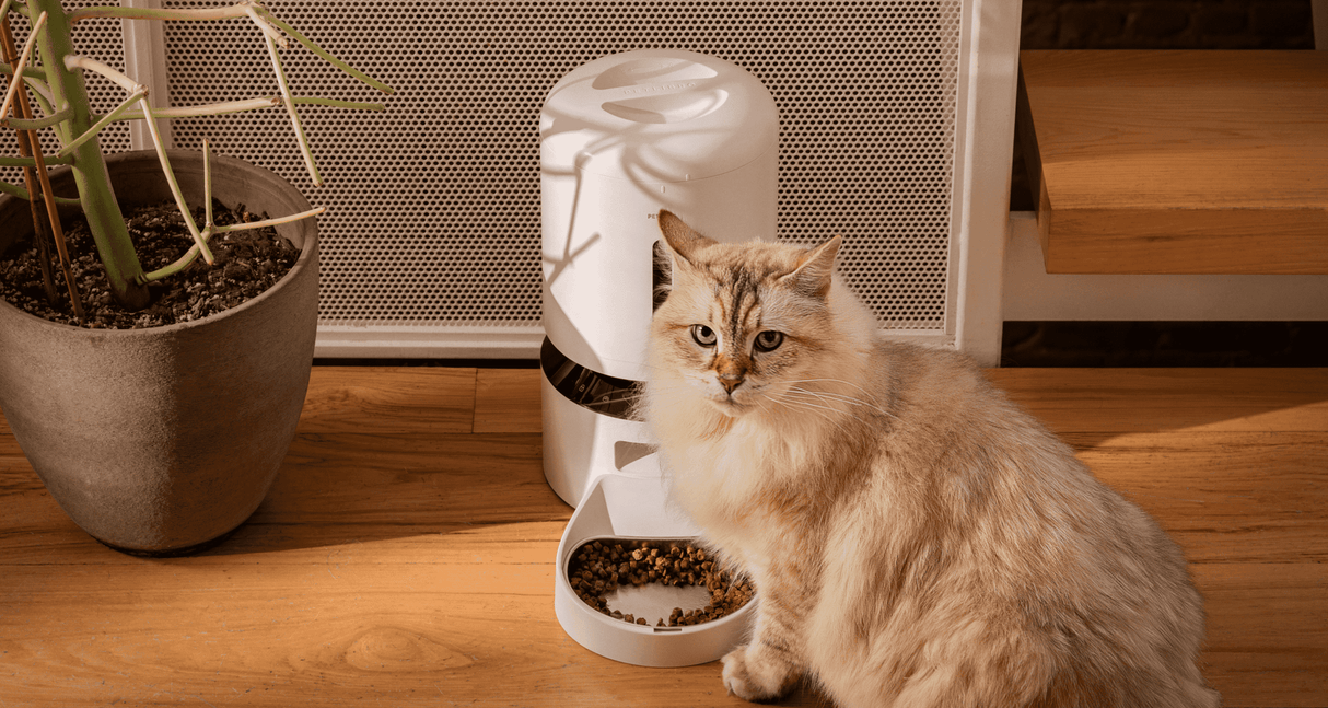 Petlibro Automatic Single Tray Smart Pet Feeder with Video Camera, Night Vision, Motion & Sound Alerts, White - Certified Refurbished