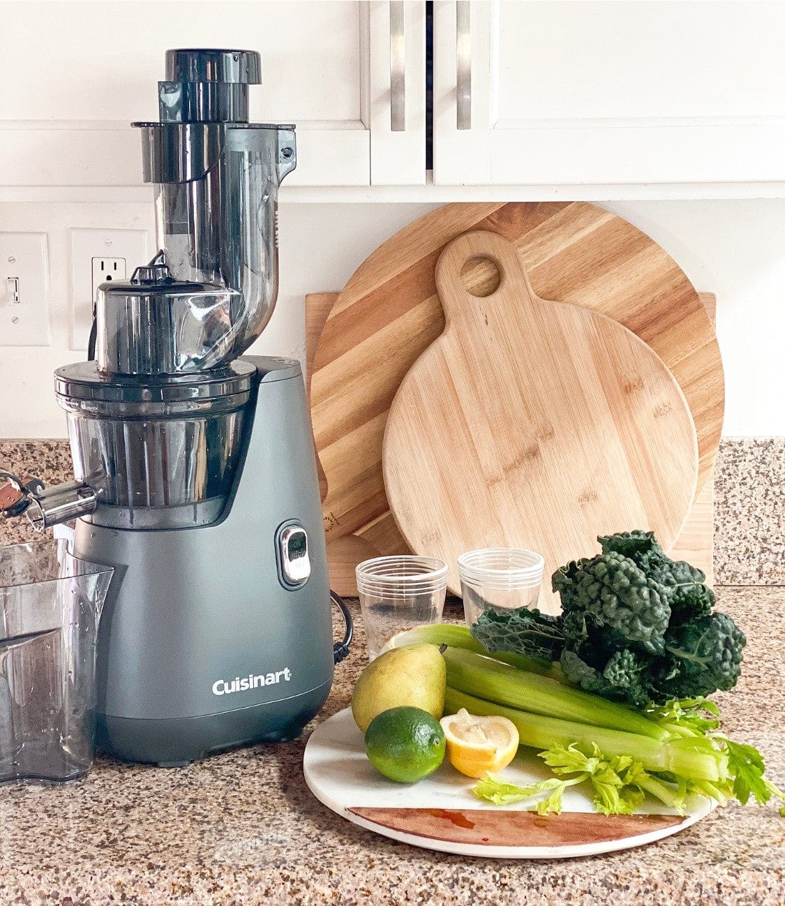 Cuisinart Easy Clean Slow Juicer, Gray