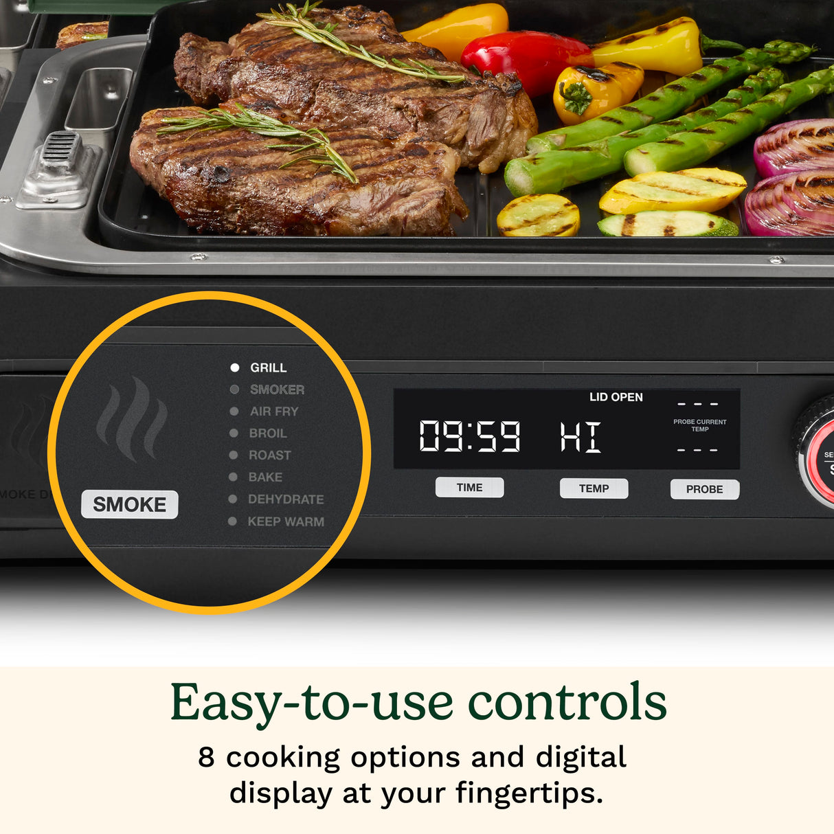 Cuisinart 8-in-1 Outdoor Electric Grill